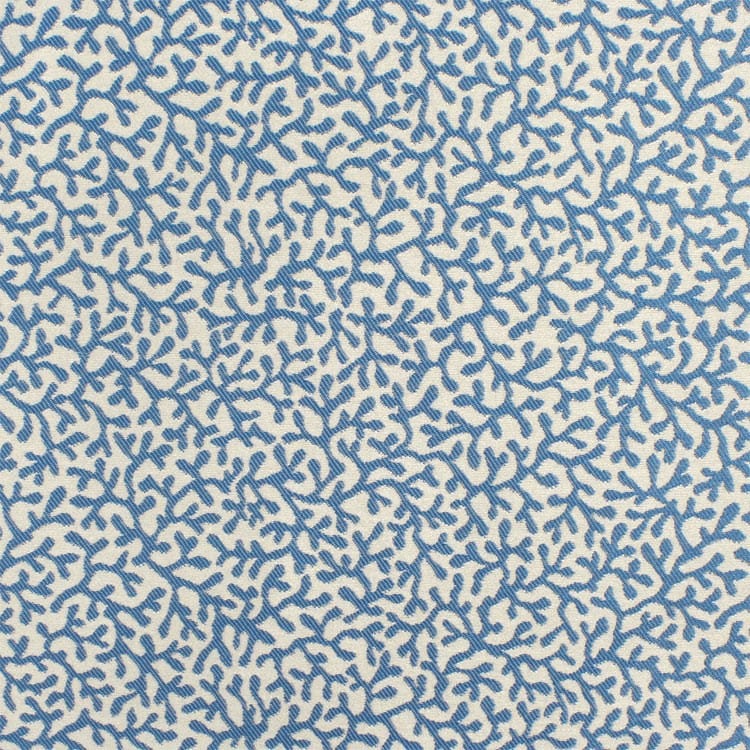 Outdoor Barrier Reef Seaside