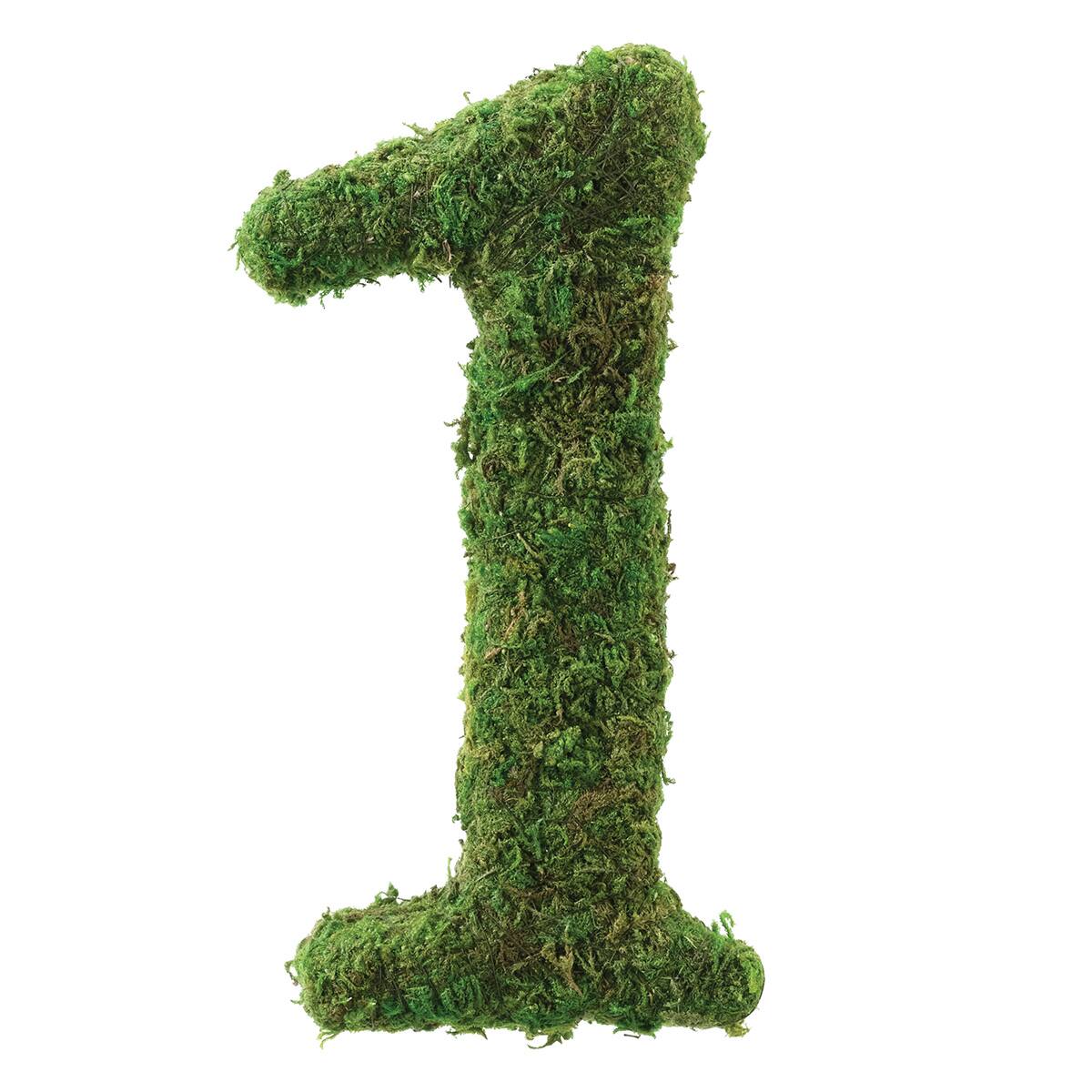 Lillian Rose Moss Wedding Decor Table Number