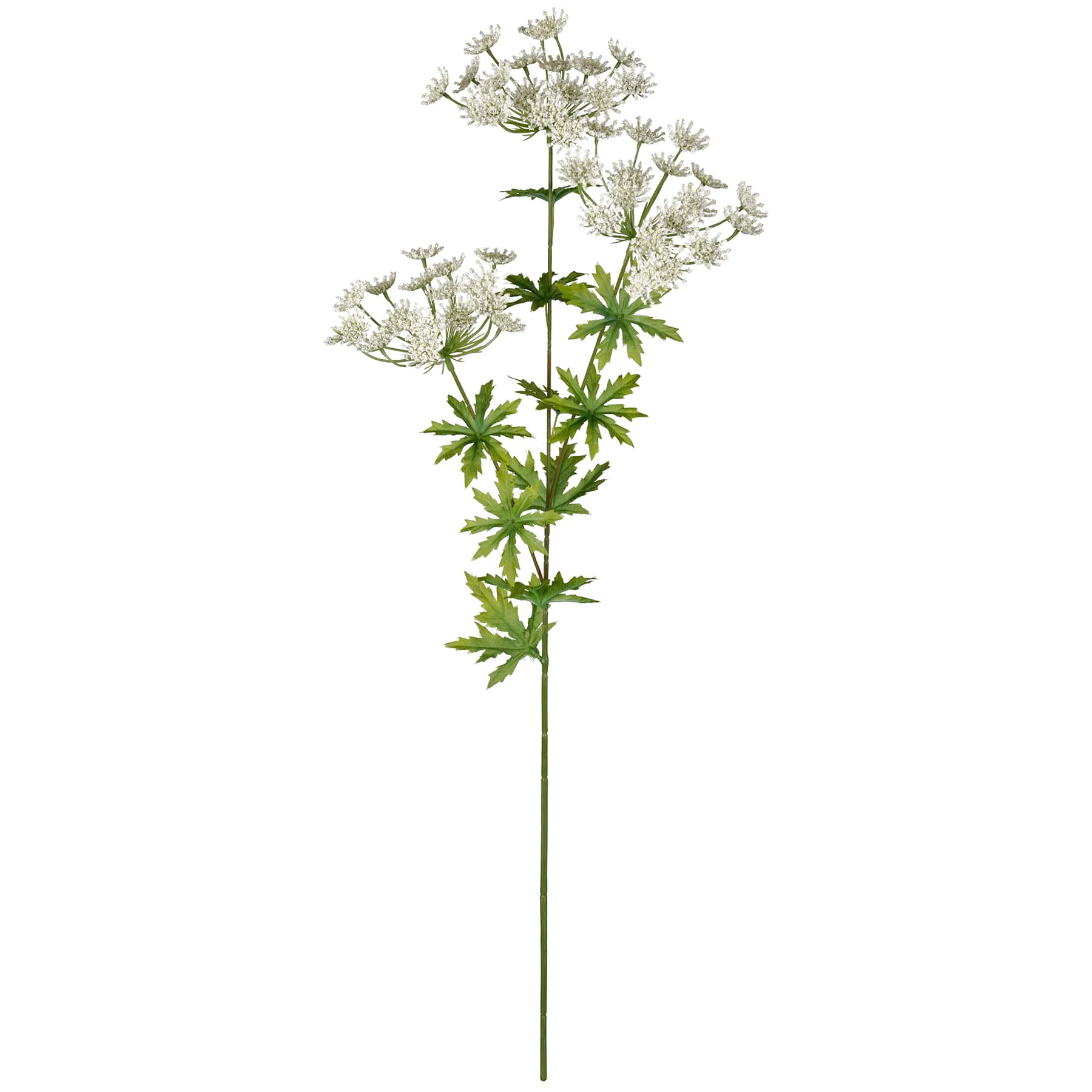 12 Pack: White Queen Anne's Lace Spray by Ashland®