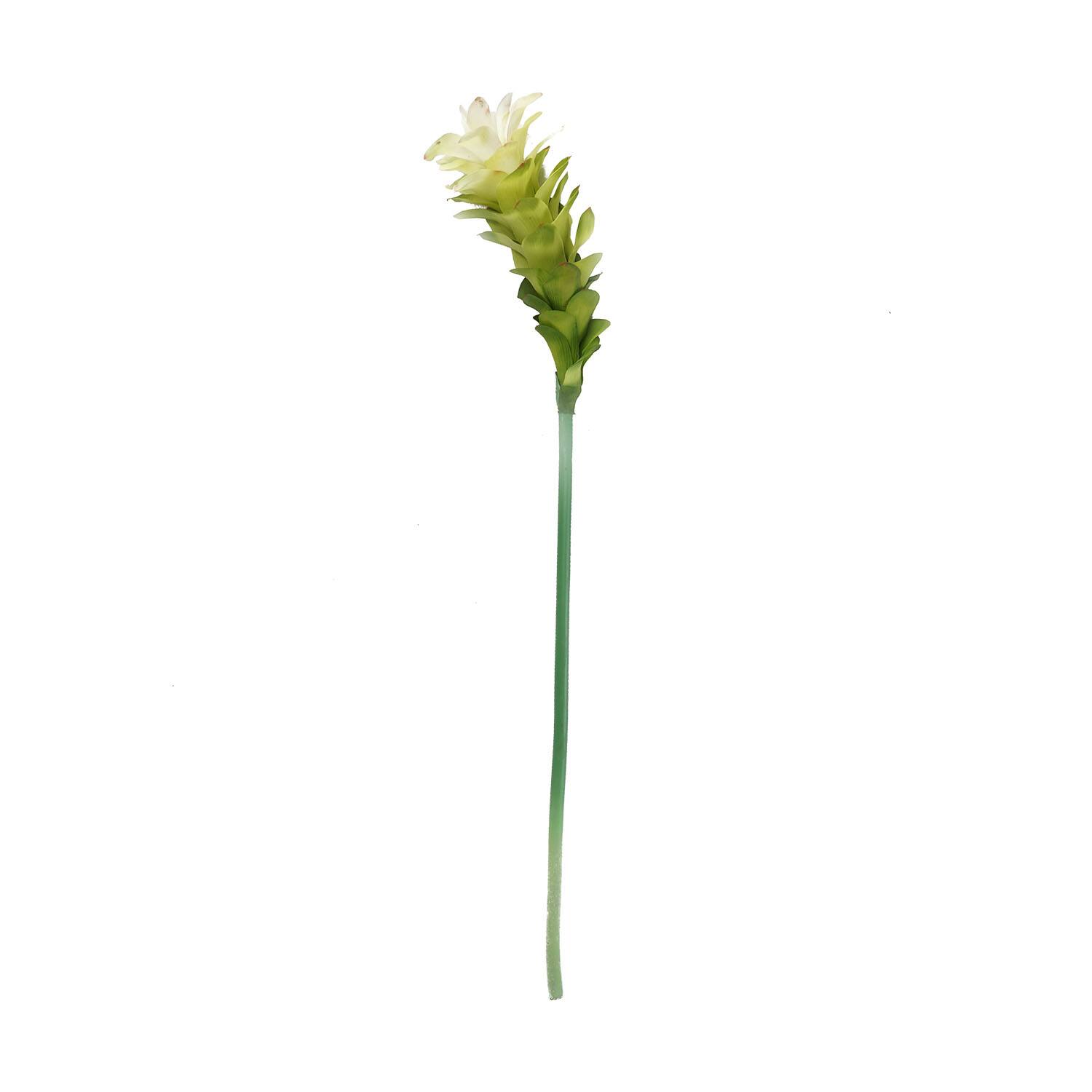 Cream White Torch Ginger Flower Crafting Stem