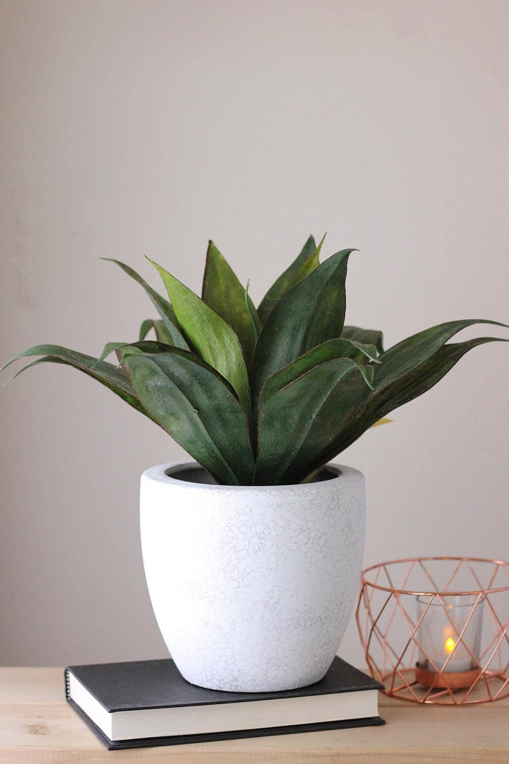 13&#x22; Green  Artificial Agave in Weathered White Ceramic Pot