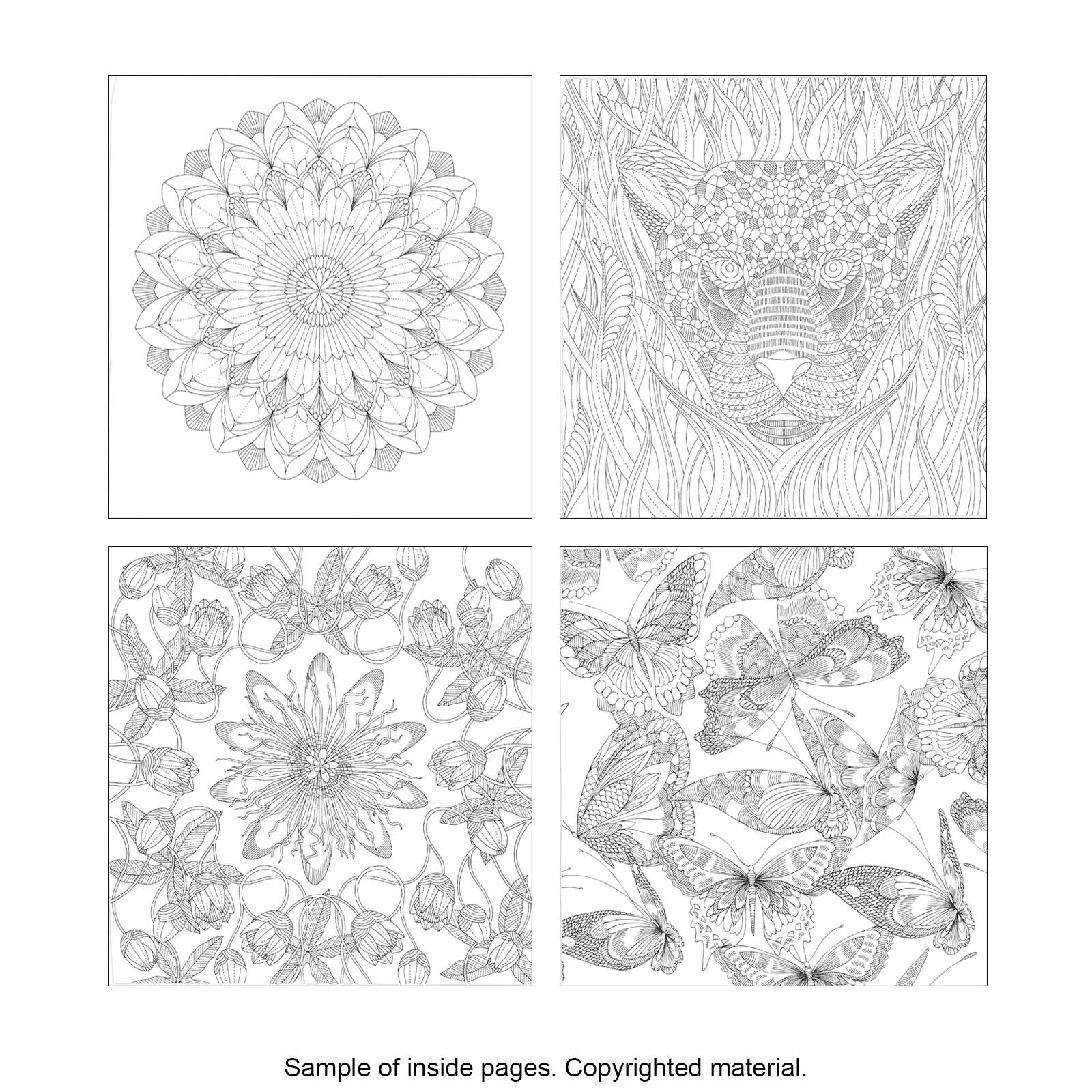 Download Tropical World A Coloring Book Adventure