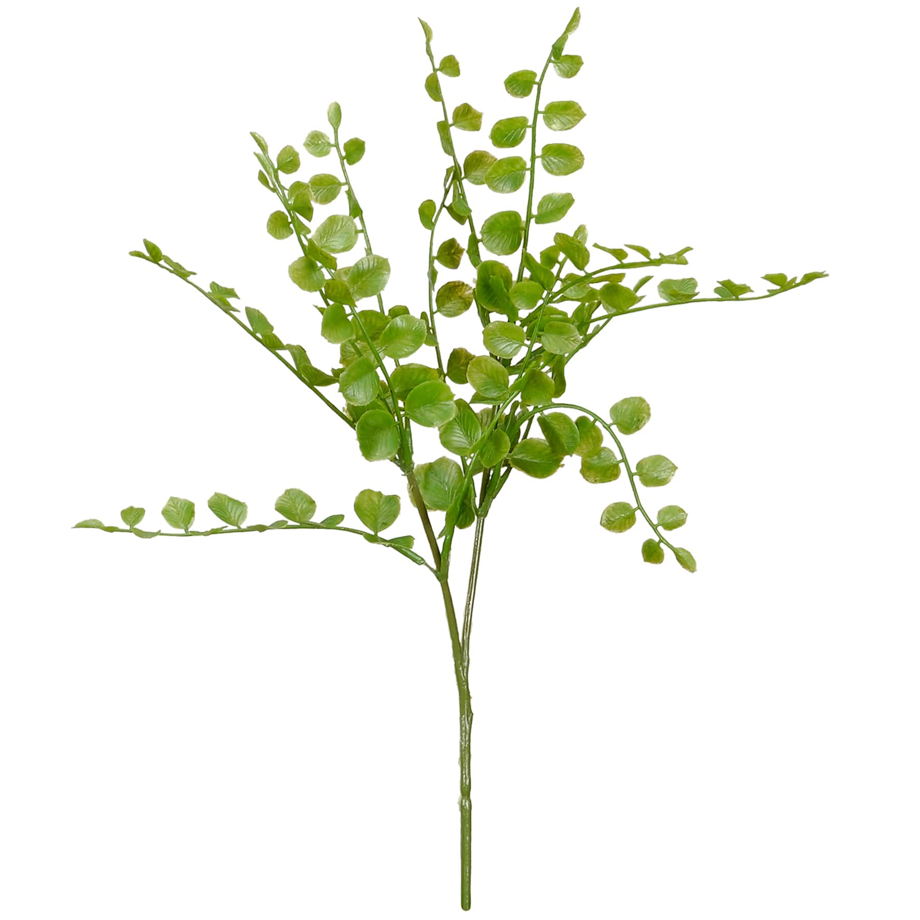 18 Pack: Assorted Fern Pick by Ashland&#xAE;