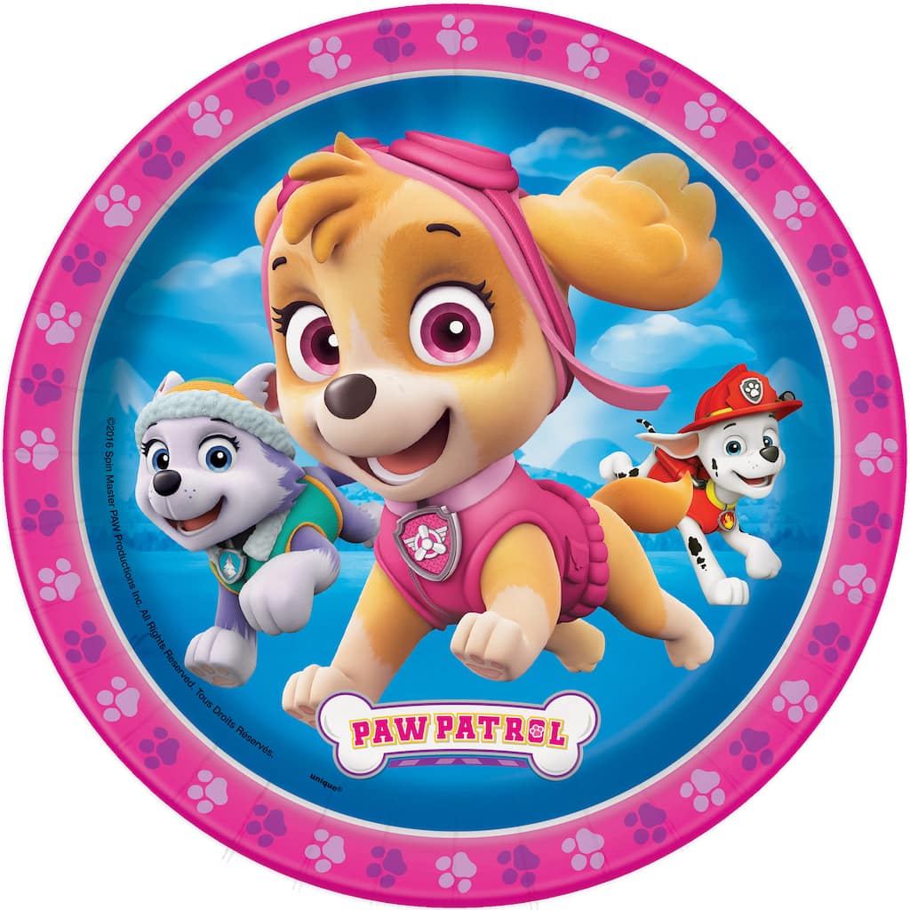 Girl PAW Patrol Birthday Cake Plates PAW Patrol Girl Birthday Party