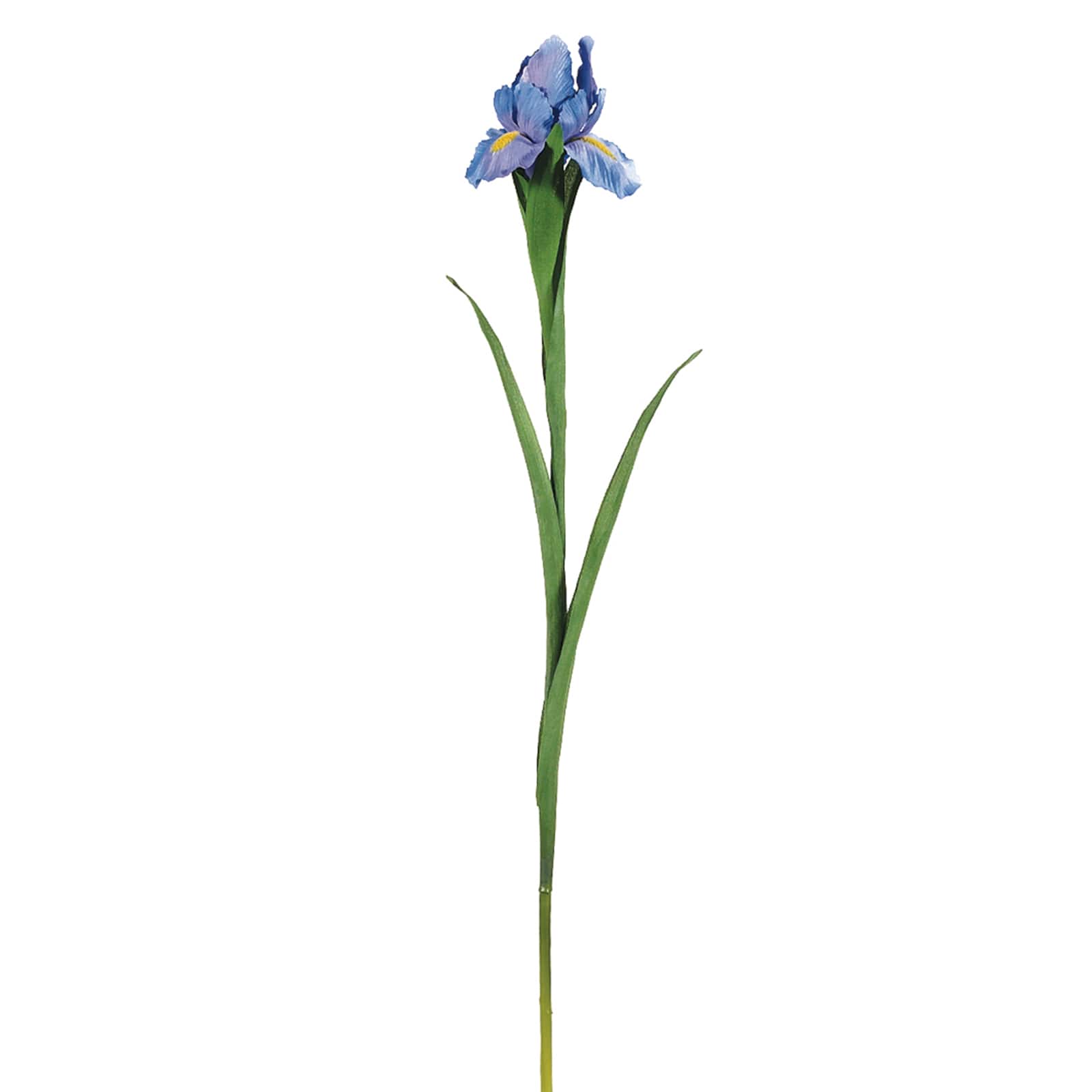 28&#x22; Iris Stem, Lavender Blue