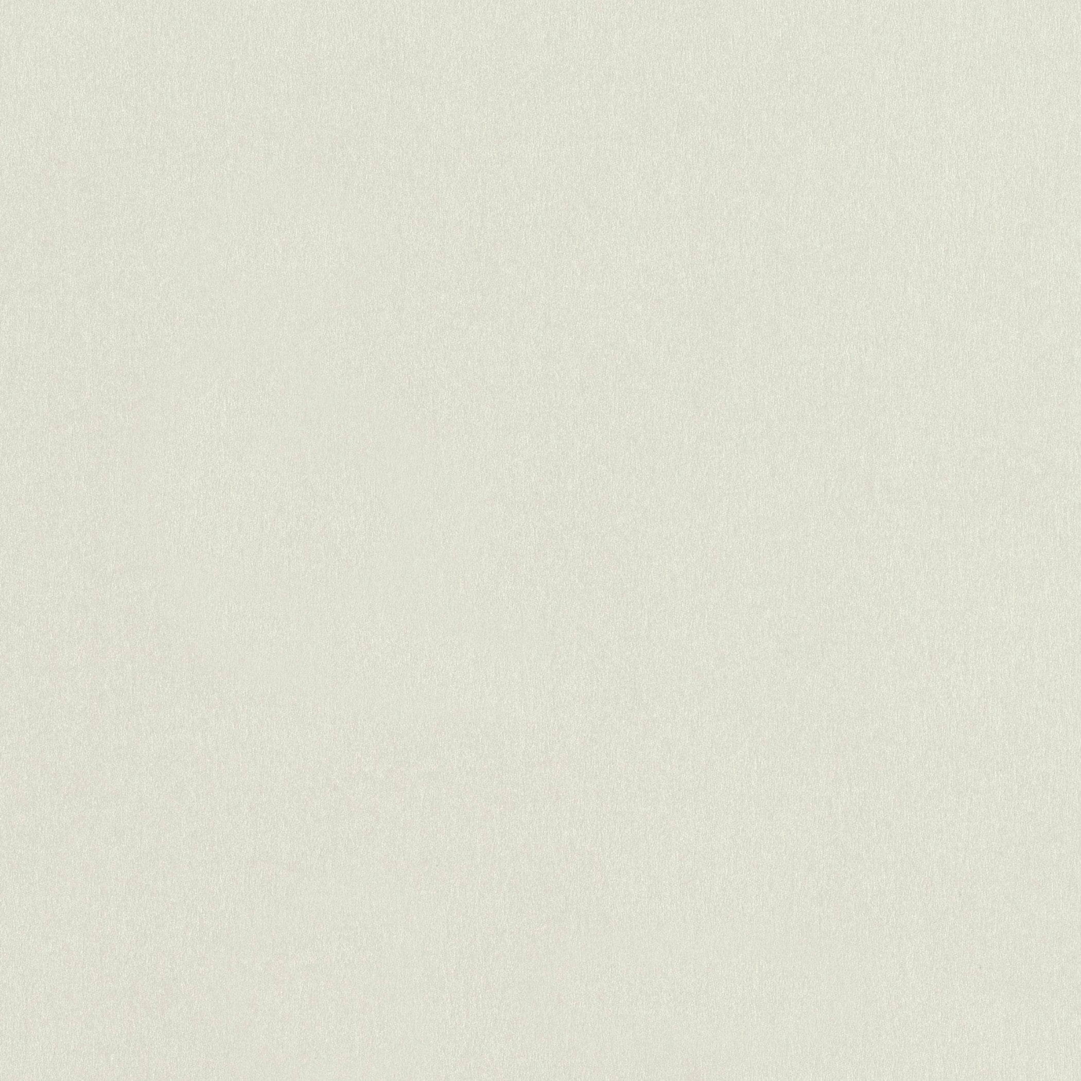 Pearlescent White Cardstock - 12 x 12 inch - 105Lb Cover - 10 Sheets -  Clear Path Paper