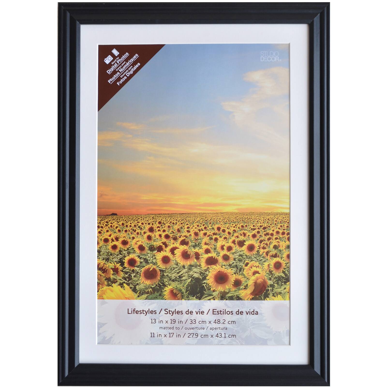 Black Frame With Mat, Lifestyles™ By 