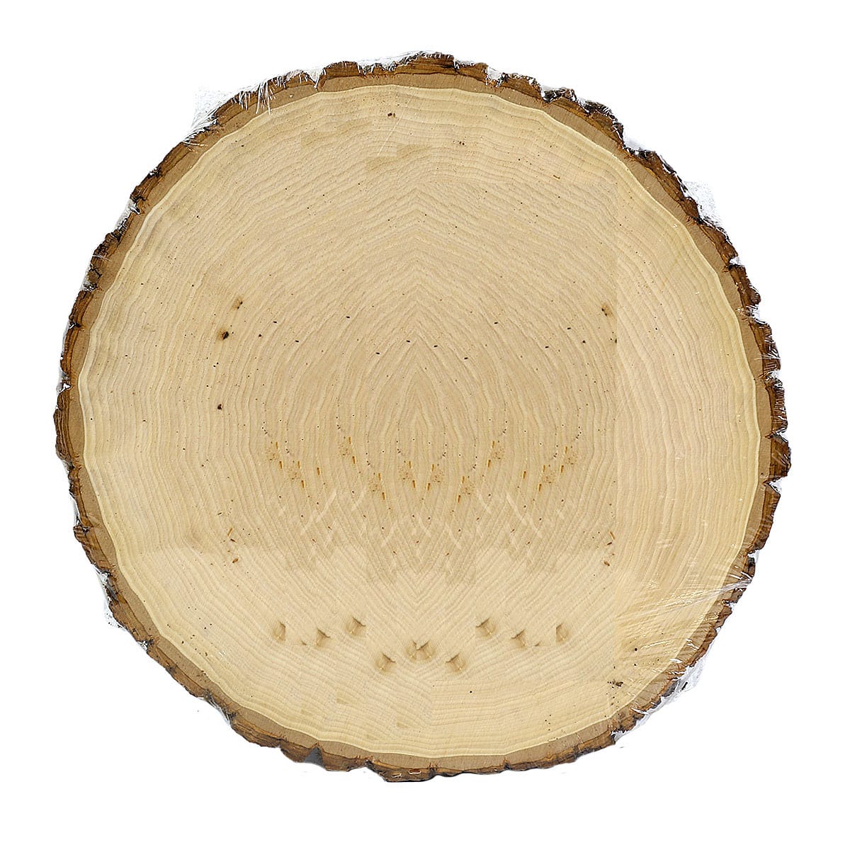 Round Basswood Plaque by ArtMinds 