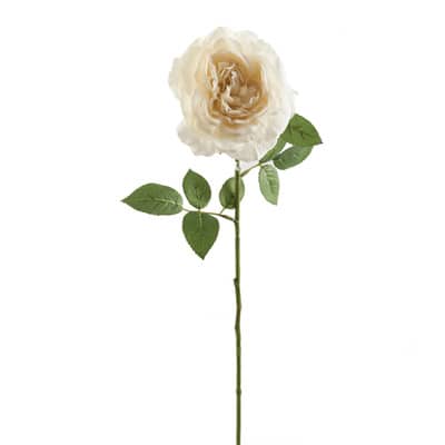 White Sophia Rose Stem by Ashland® image