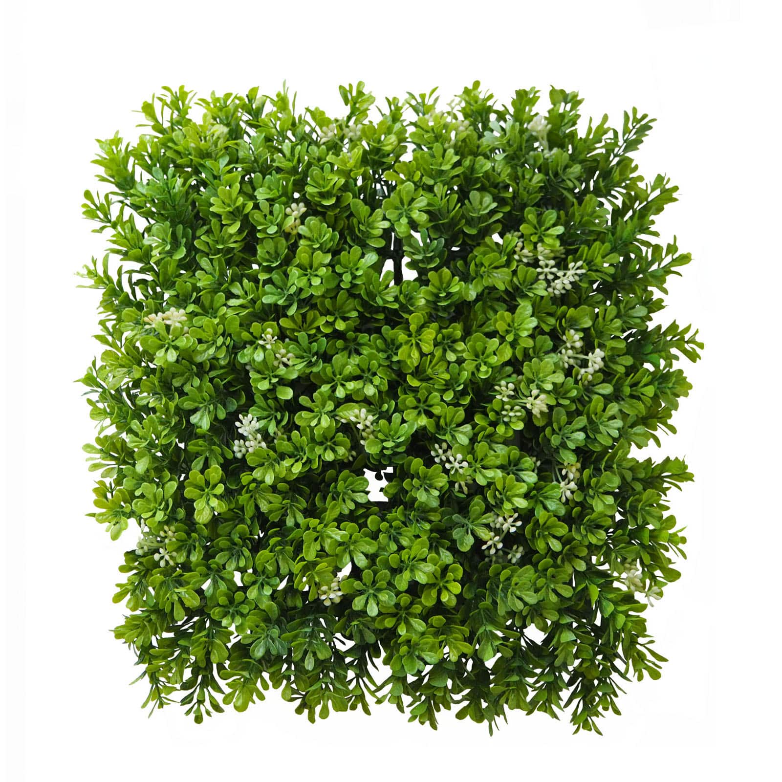 Large Boxwood Mat by Ashland®