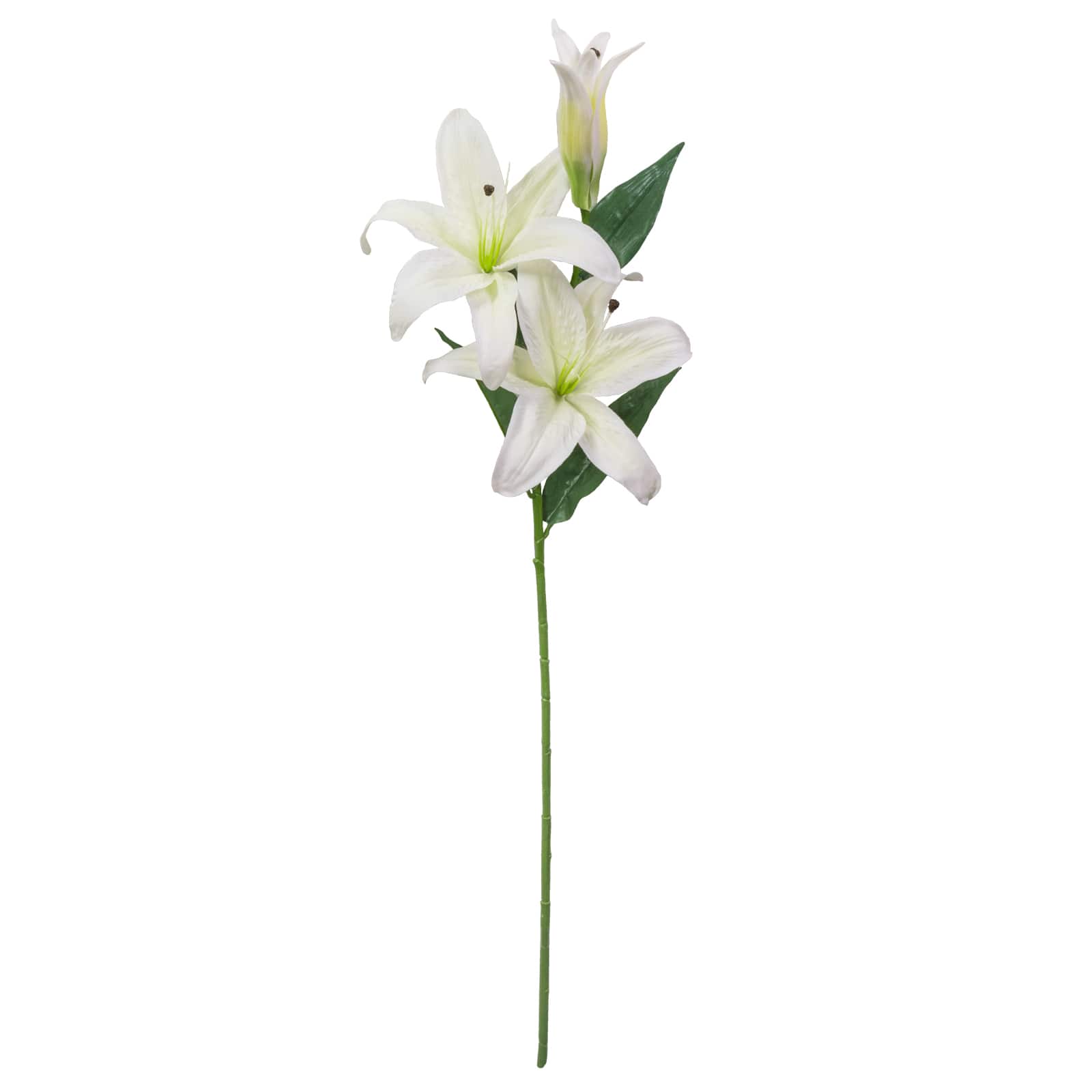Casablanca Lily Stem by Ashland®