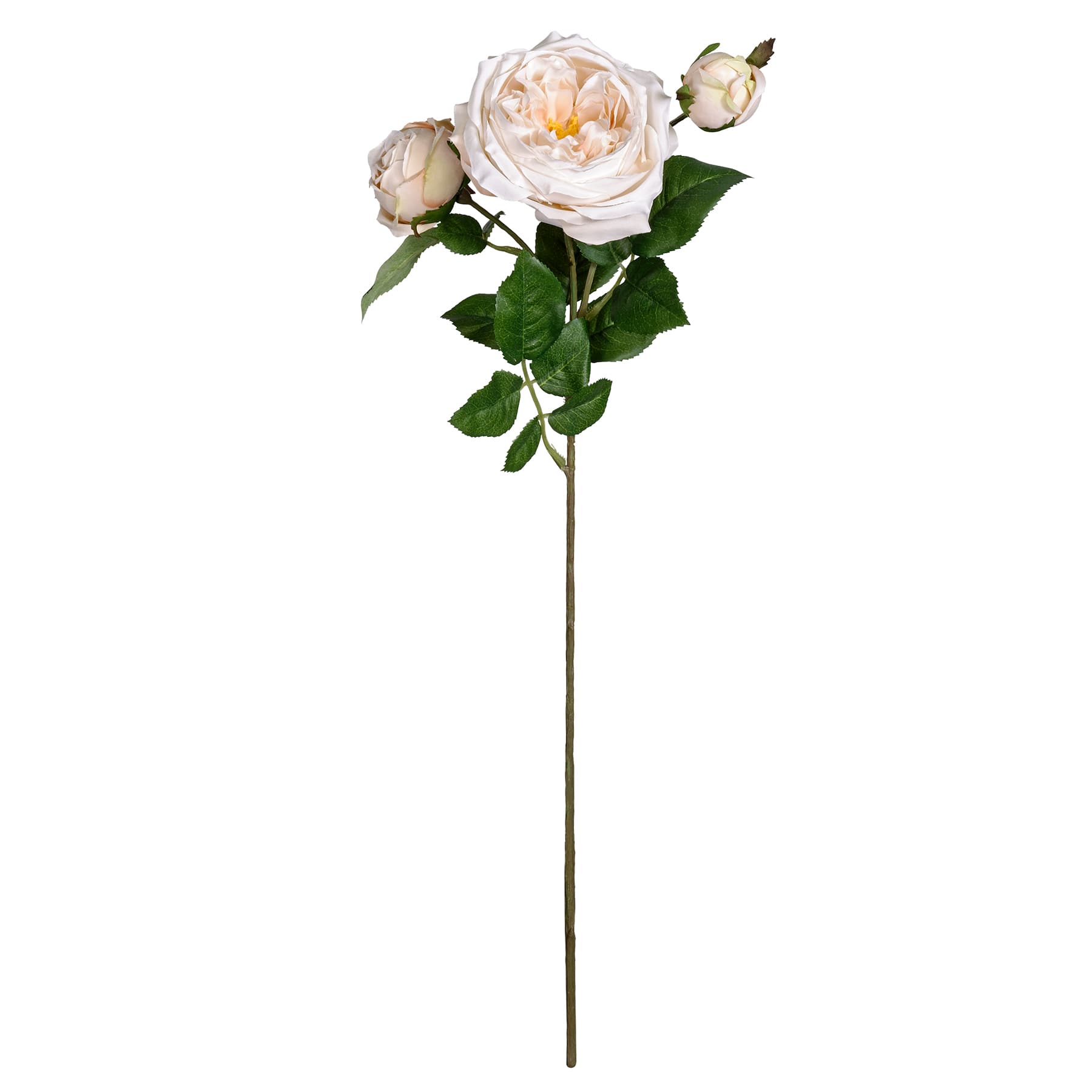 Toast English Rose Stem by Ashland&#xAE;