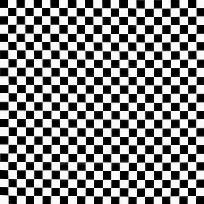 White/Black Checker Matte Satin | Michaels