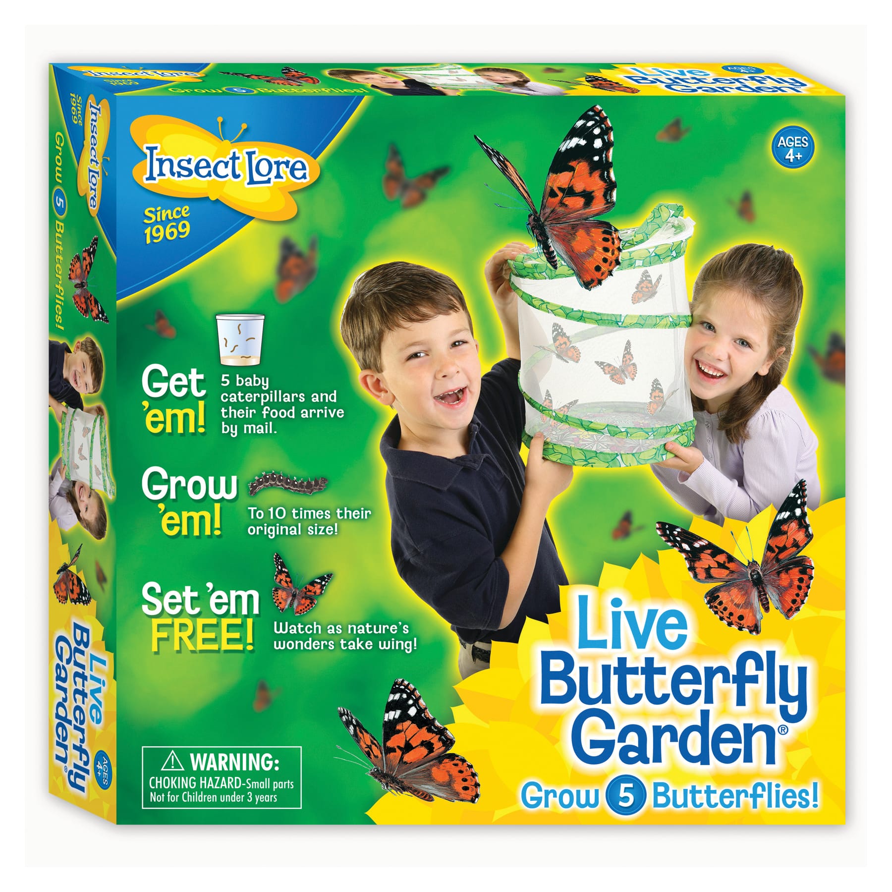 Butterfly Kits with Live Caterpillars  Grow Butterflies at Home - Insect  Lore