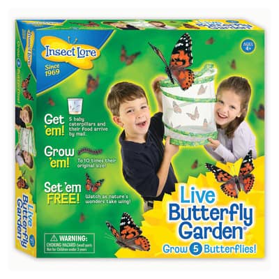 Butterfly Garden® | Michaels