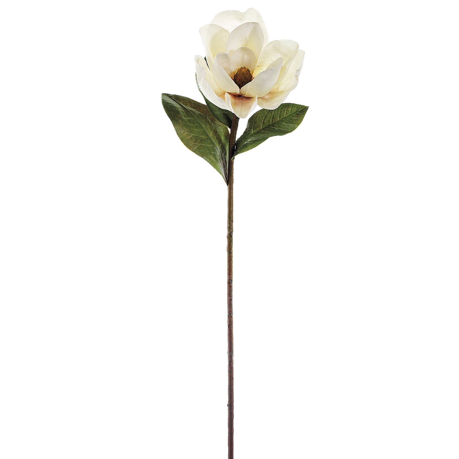 34&#x22; Magnolia Stem, White