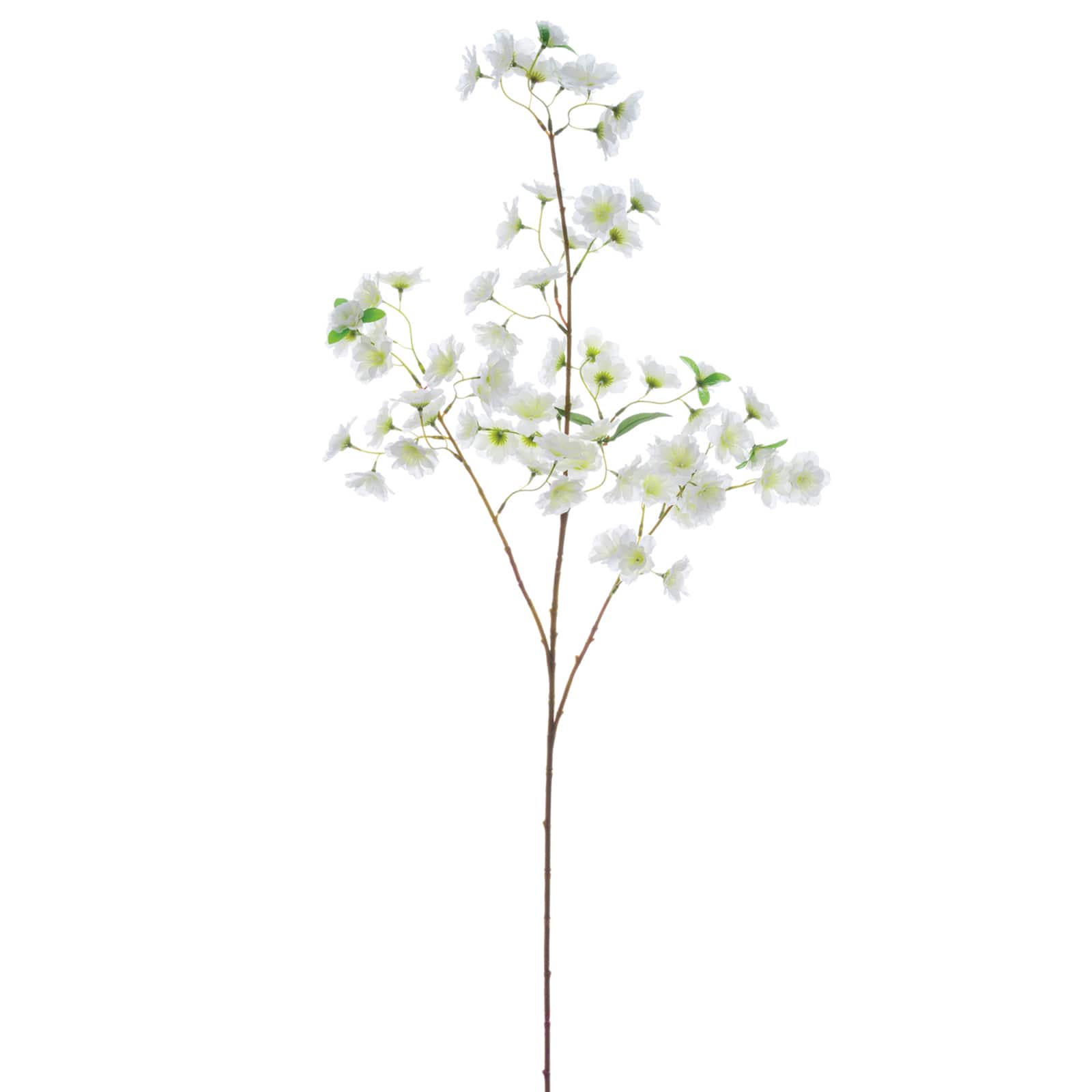 White Cherry Blossom Stem
