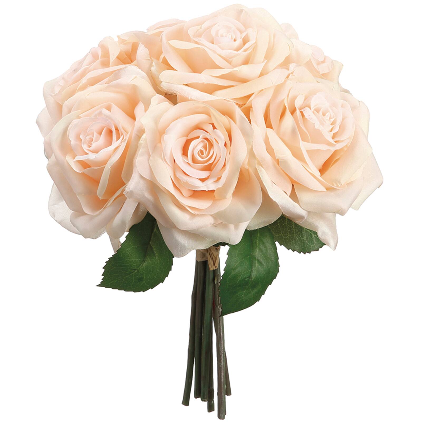 autumn rose peach autumn rose peach
