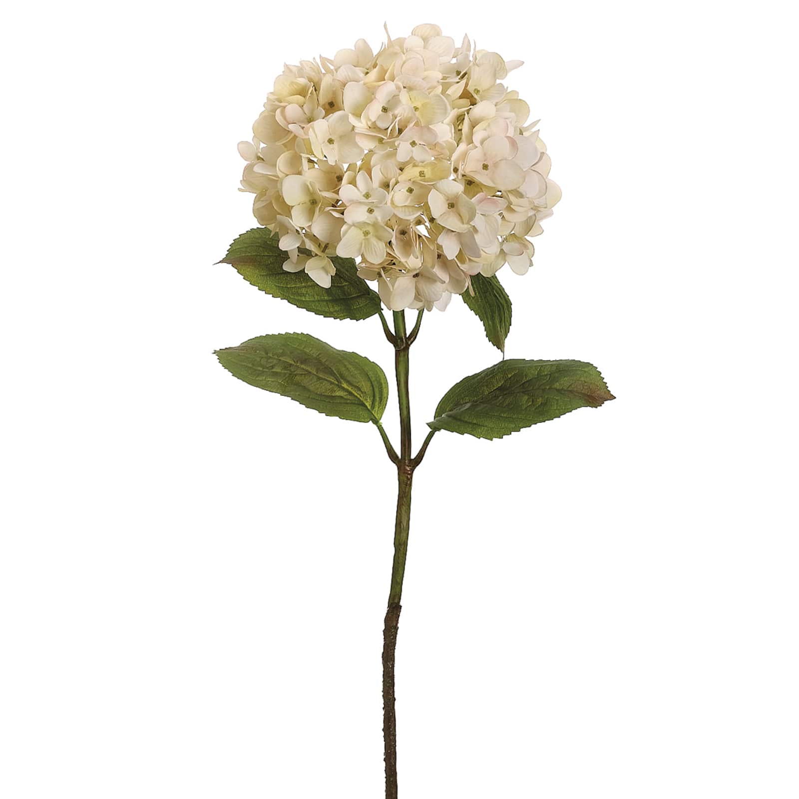 26&#x22; Hydrangea Stem, Cream