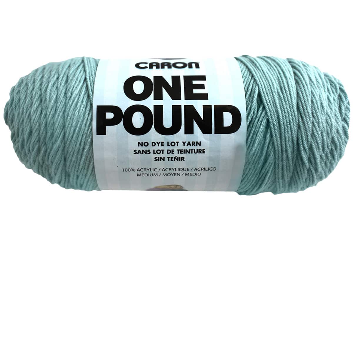 Caron One Pound Yarn - Ocean