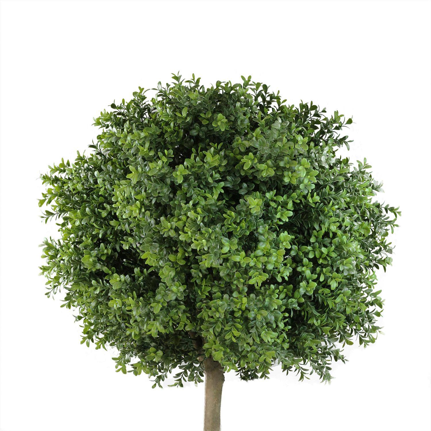 5ft Two Tone Green Artificial Murraya Ball Potted Topiary