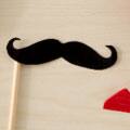 mustache photo booth props