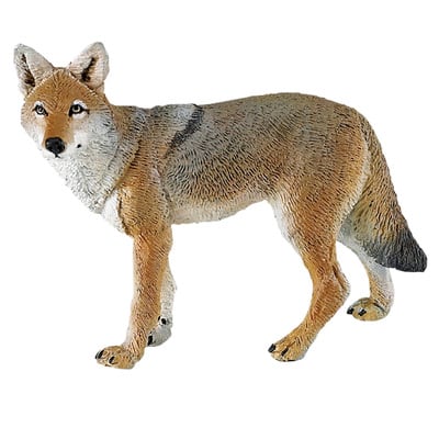 Safari Ltd® Coyote | Michaels