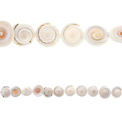 White Swirl Shell Beads, 16mm by Bead Landing™ image
