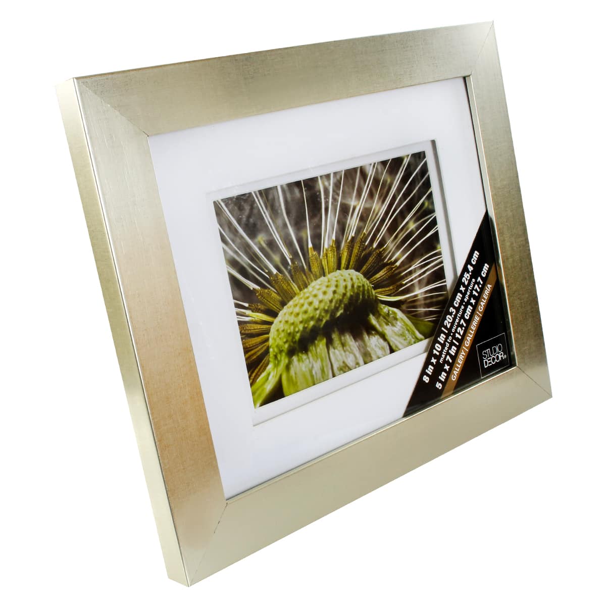 Champagne Gallery Frame with Double Mat by Studio D&#xE9;cor&#xAE;