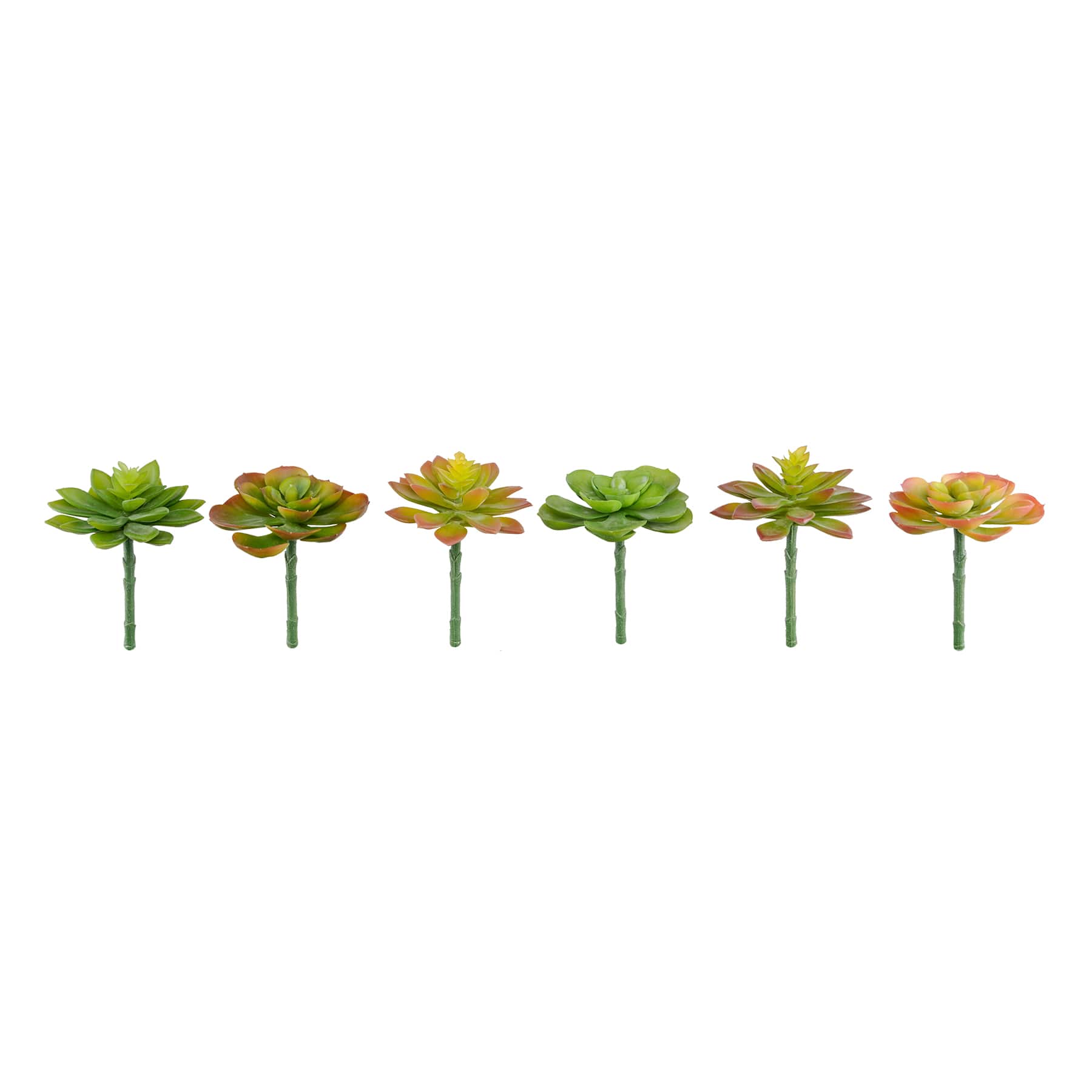 12 Pack: Assorted Snap-On Succulent Pick by Ashland&#xAE;
