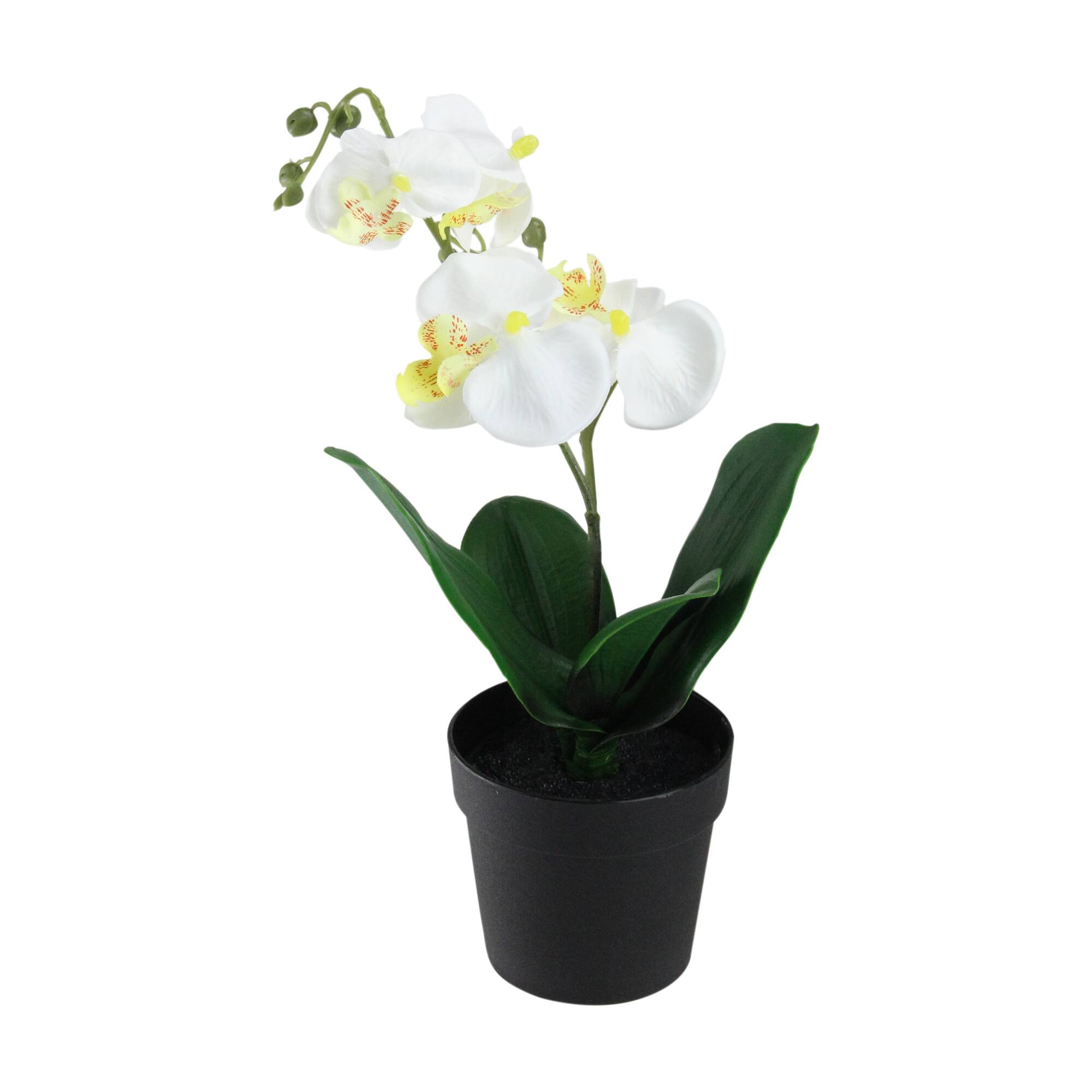 White & Yellow Artificial Tropical Potted Orchid