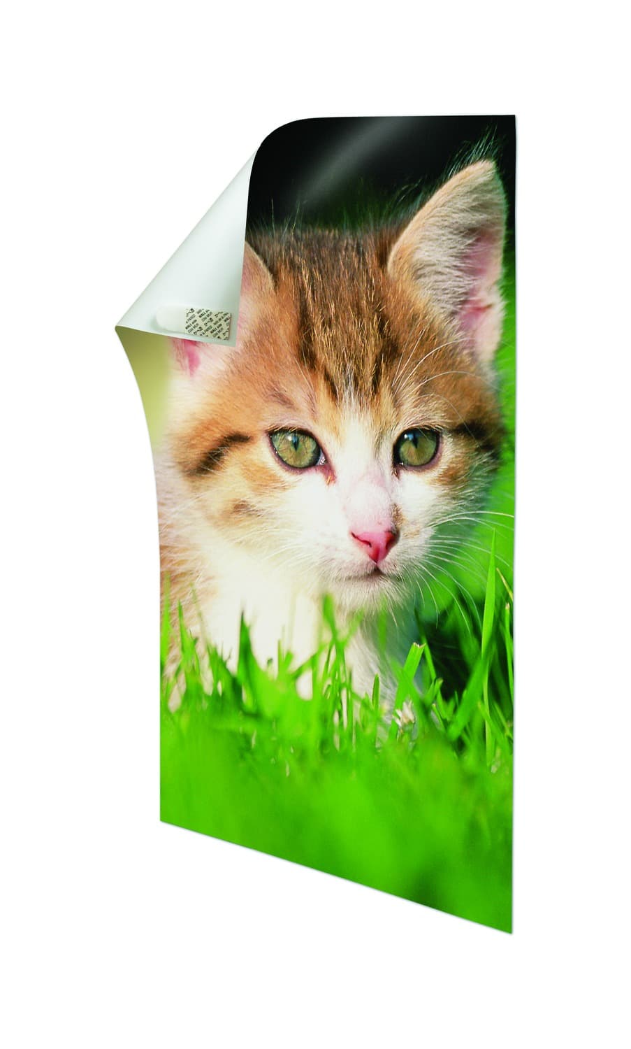 3M Command™ Poster Strips