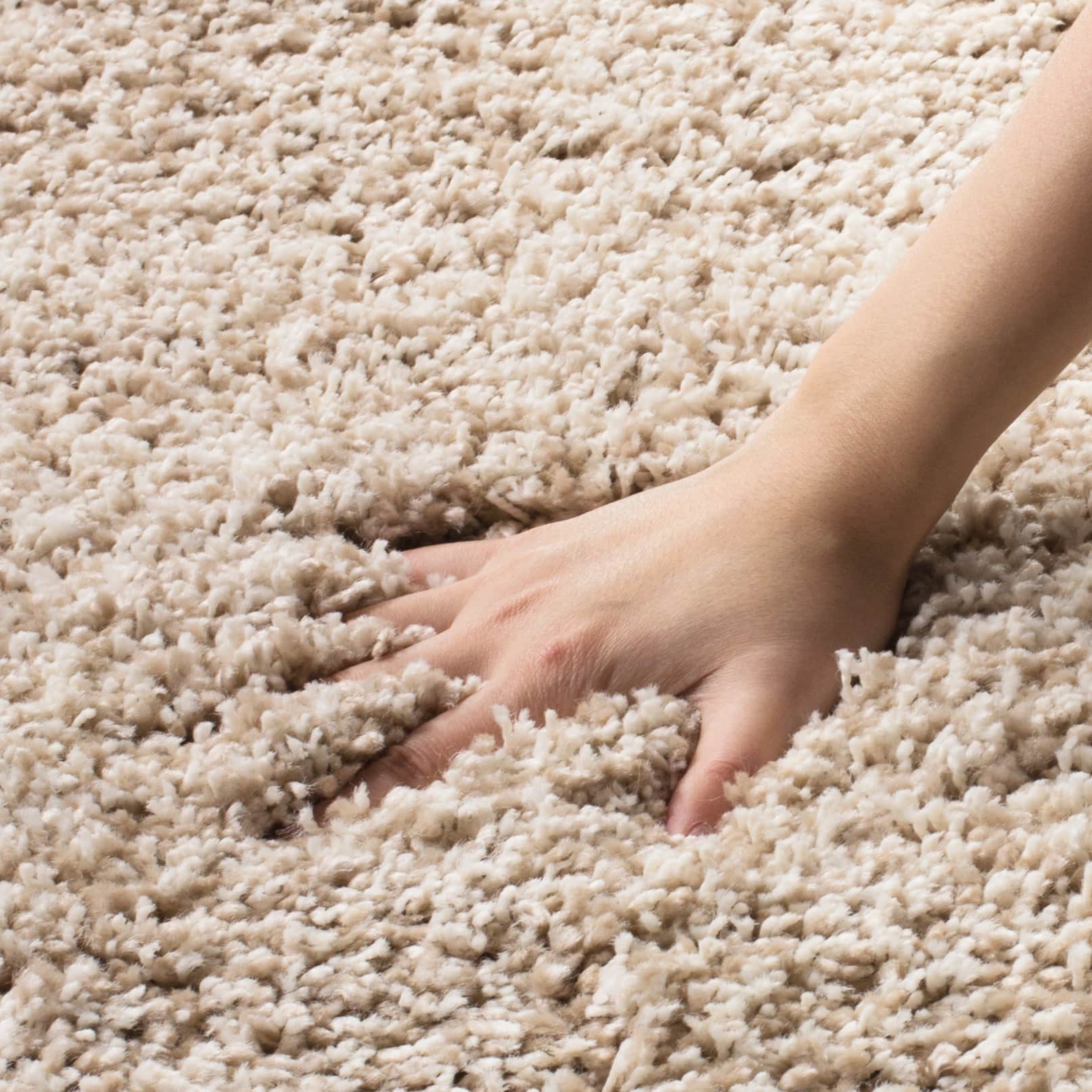 California Solid Shag 4&#x27; X 4&#x27; Round Area Rug