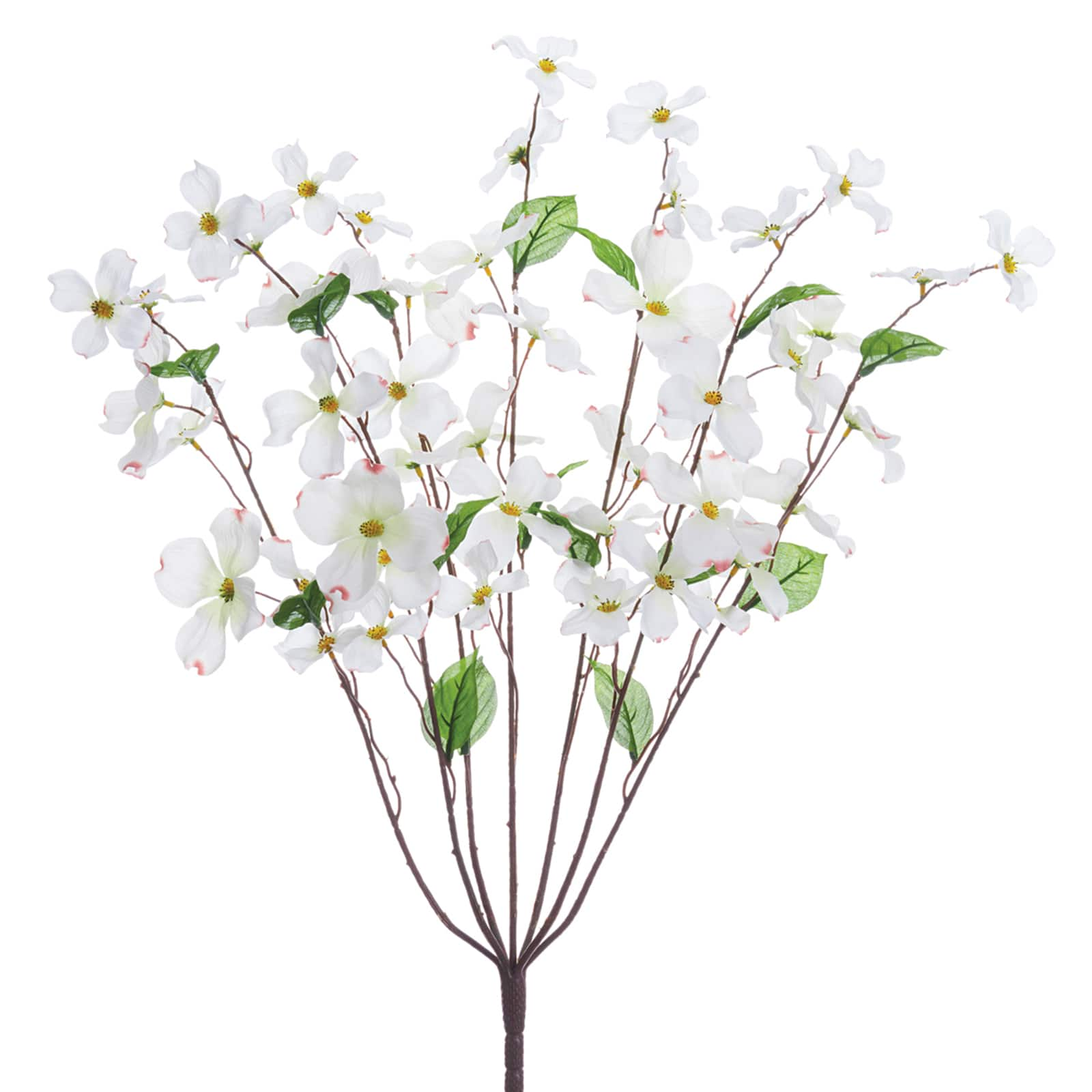 White Dogwood Bush