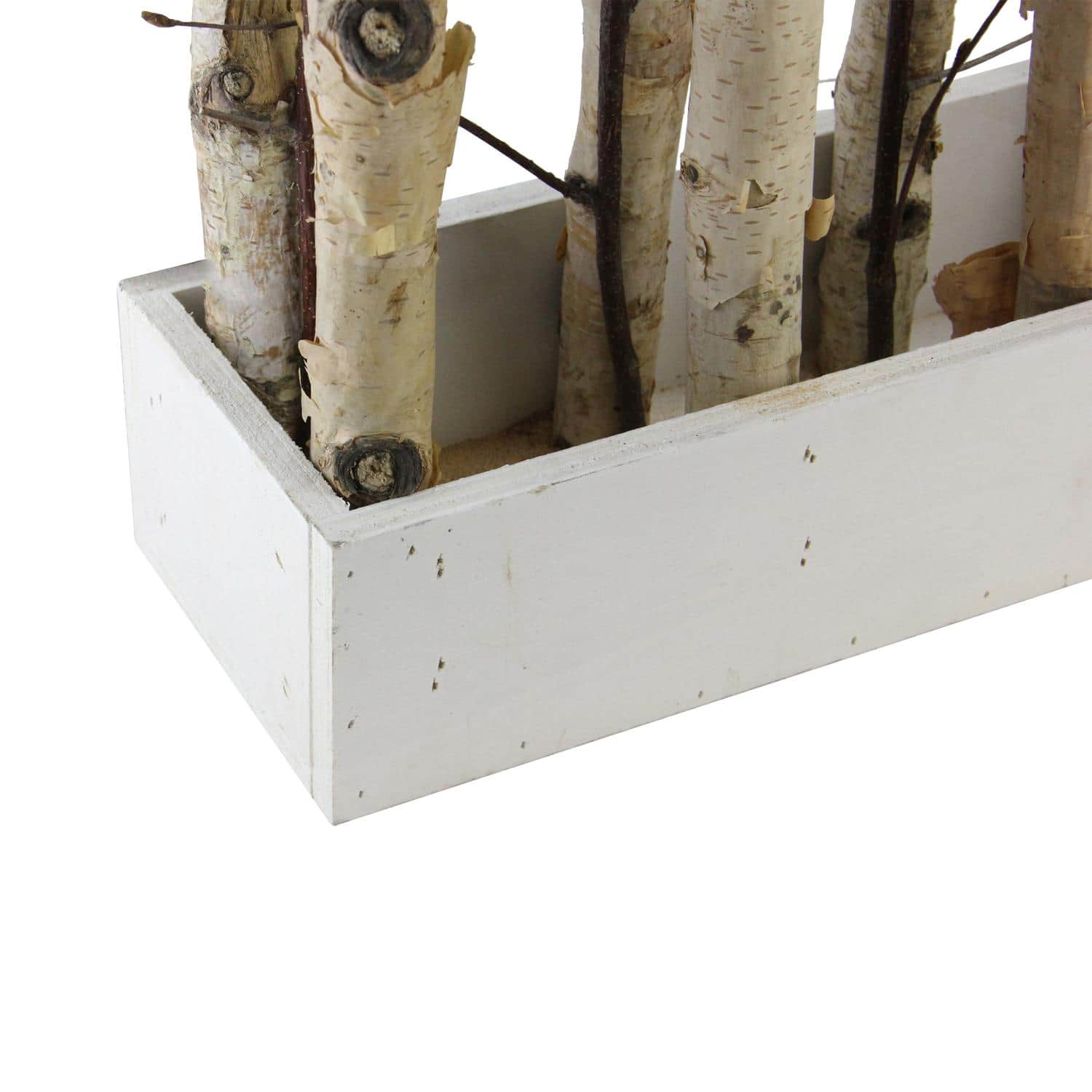 18.75" Mixed Branch Bouquet in White Wood Box