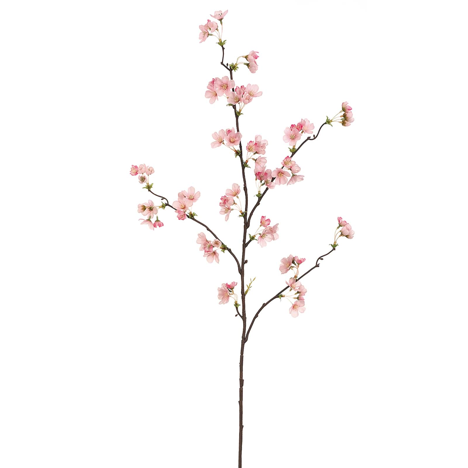 Pink Twig Flower Stem