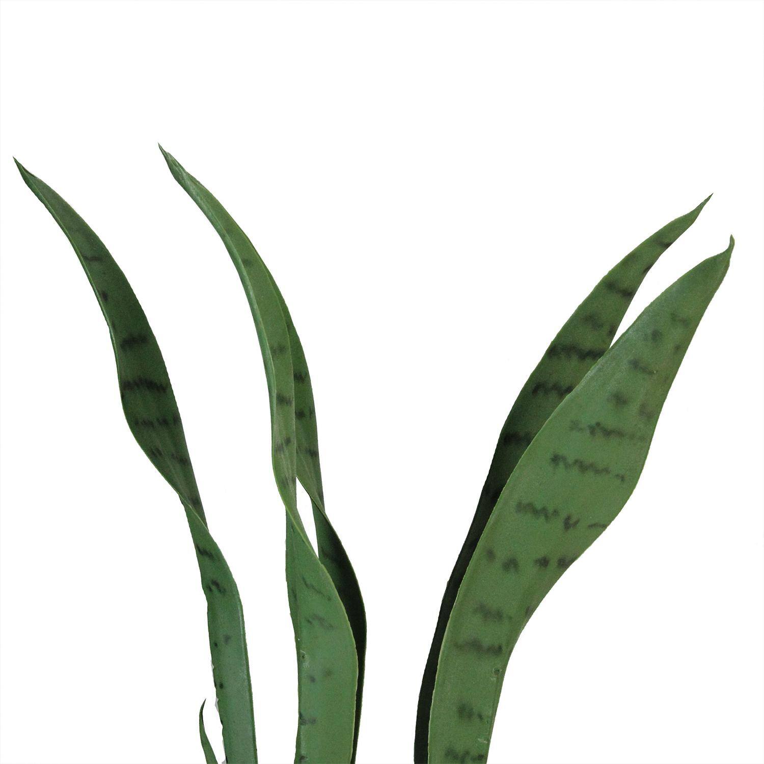 21" Green Artificial Succulent in White Square Pot