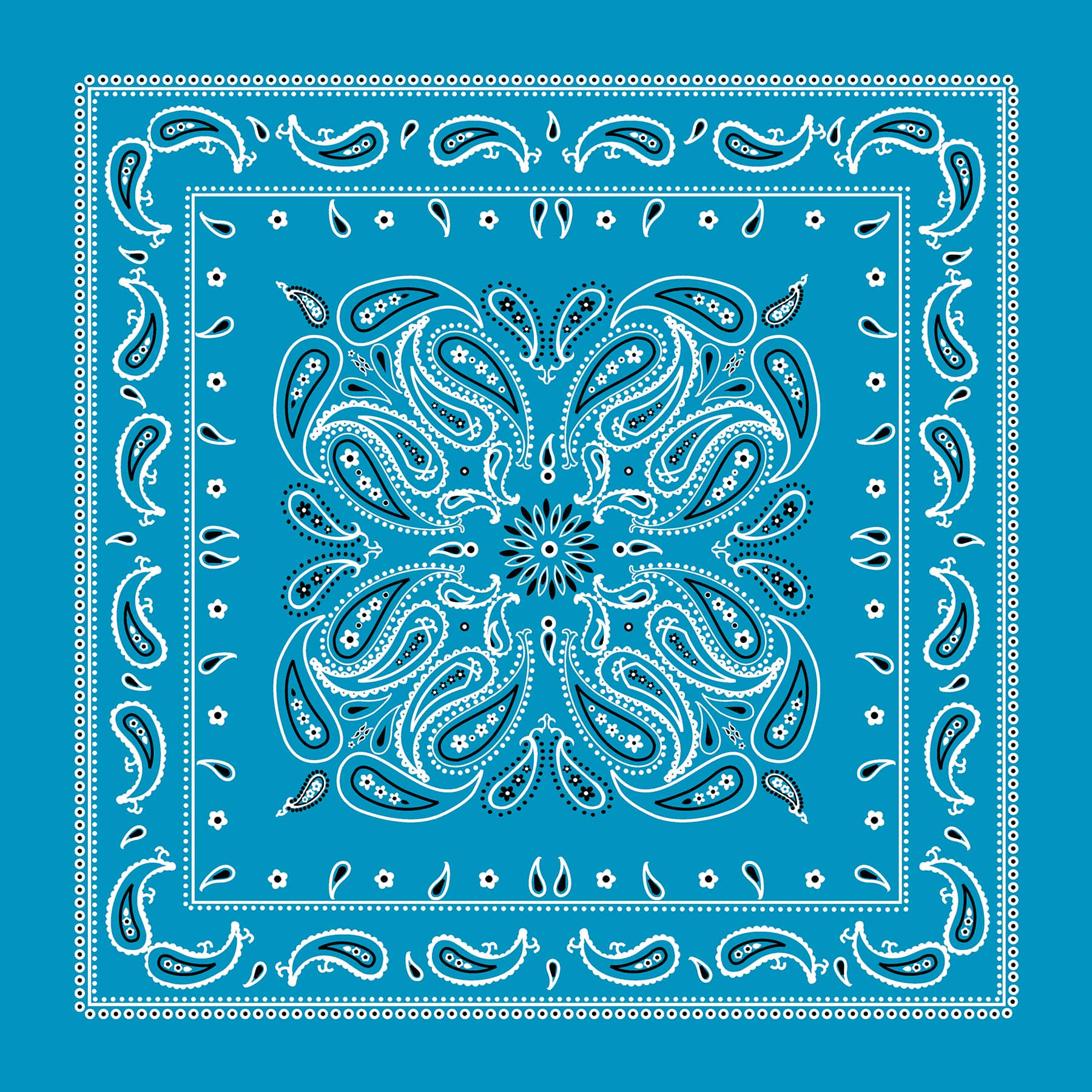 Paisley Bandana by Make Market®