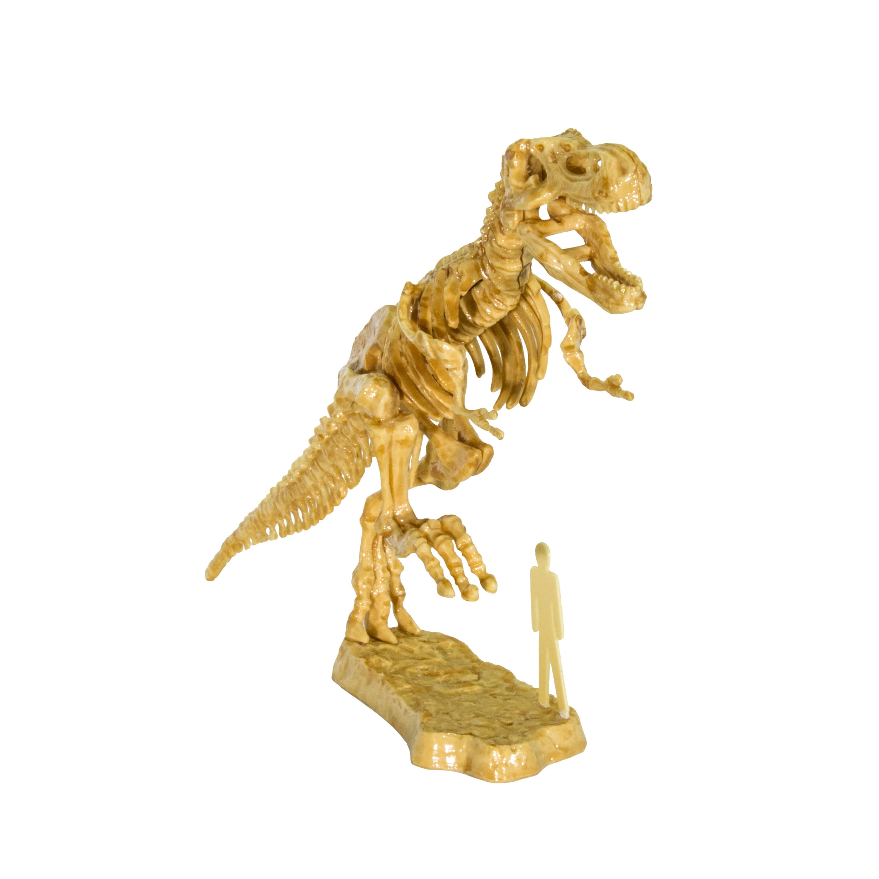 Thames &#x26; Kosmos I Dig It! Dinos: 3D T. Rex Excavation Kit