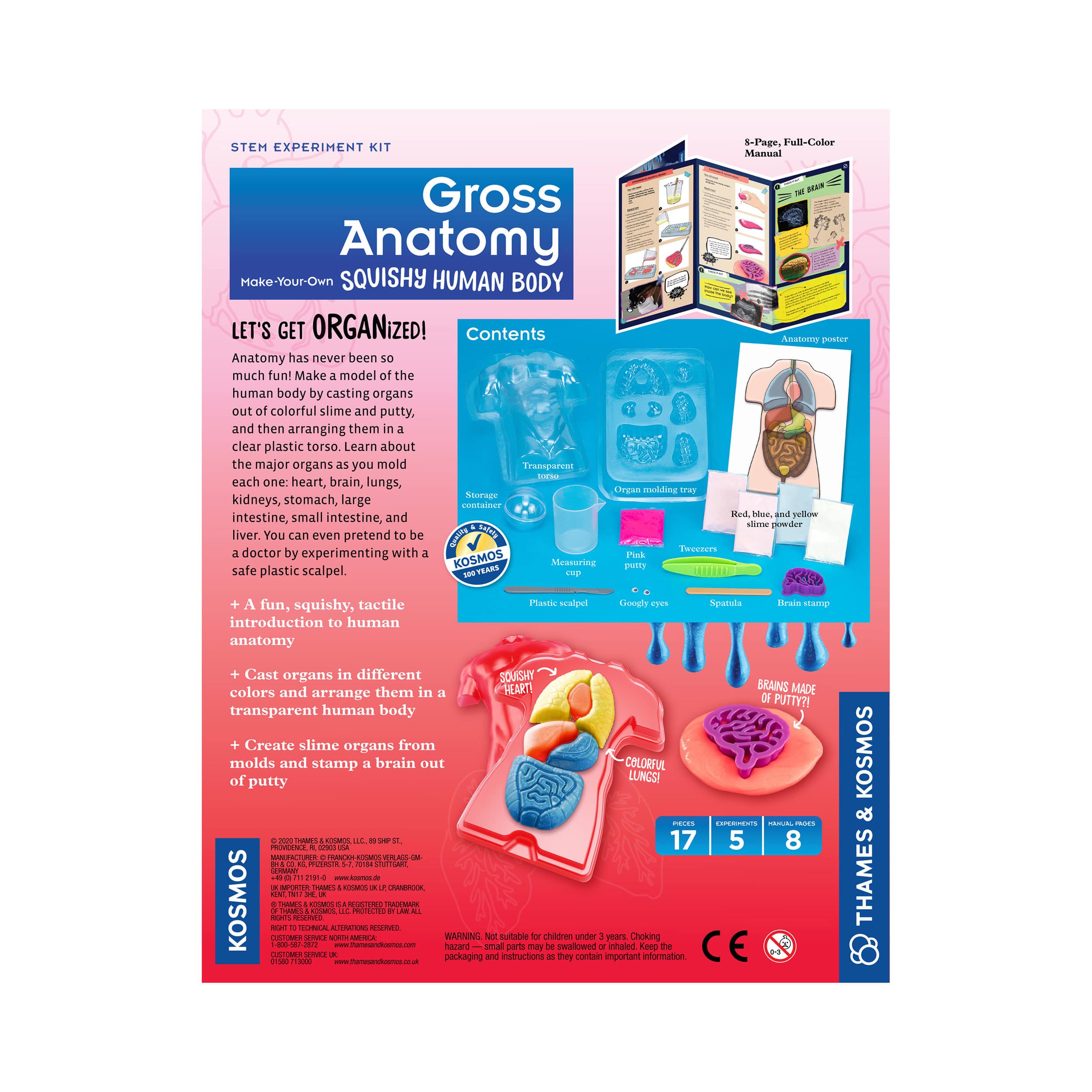 Thames & Kosmos Gross Anatomy: Make-Your-Own Squishy Human Body