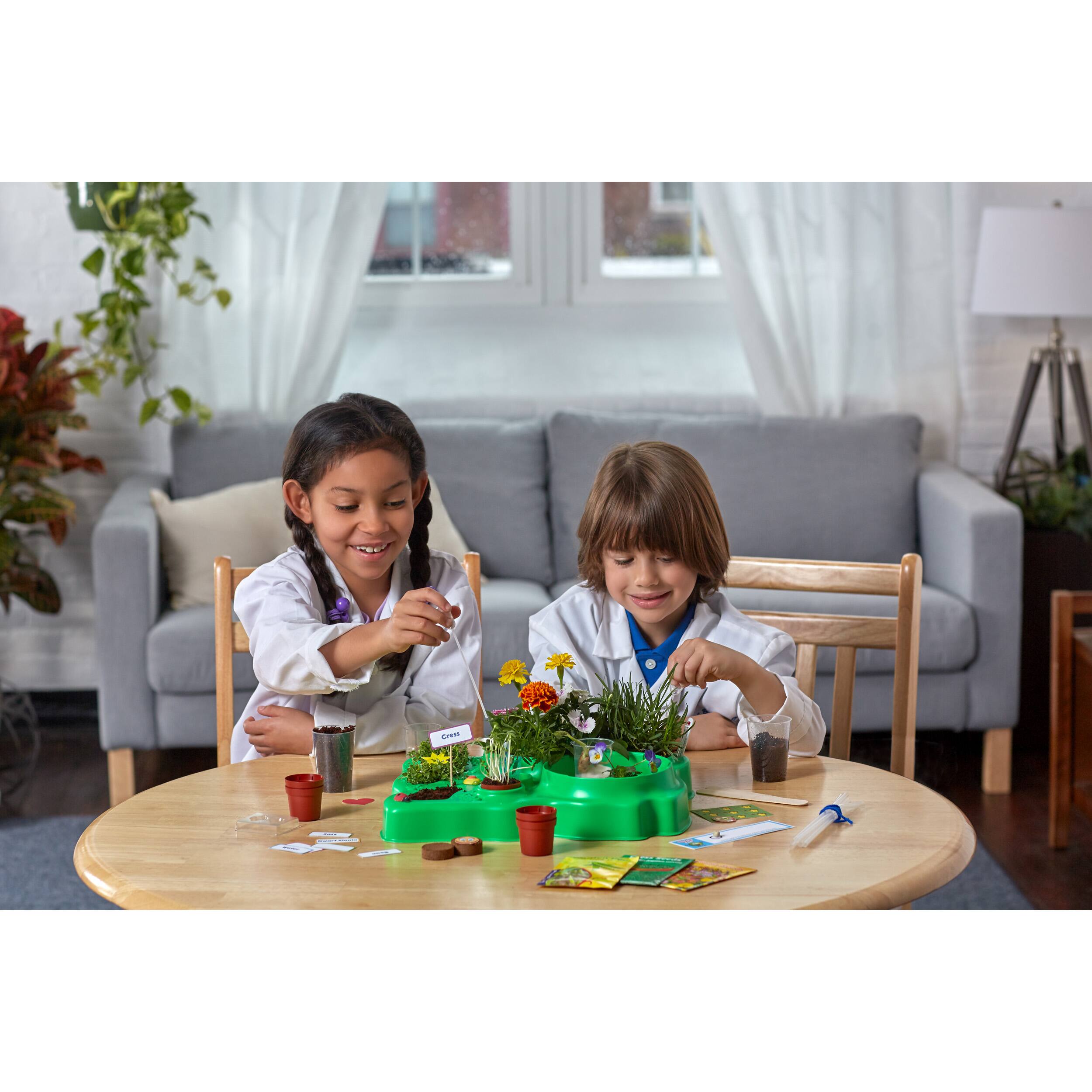 Thames &#x26; Kosmos Botany Experimental Greenhouse Kit