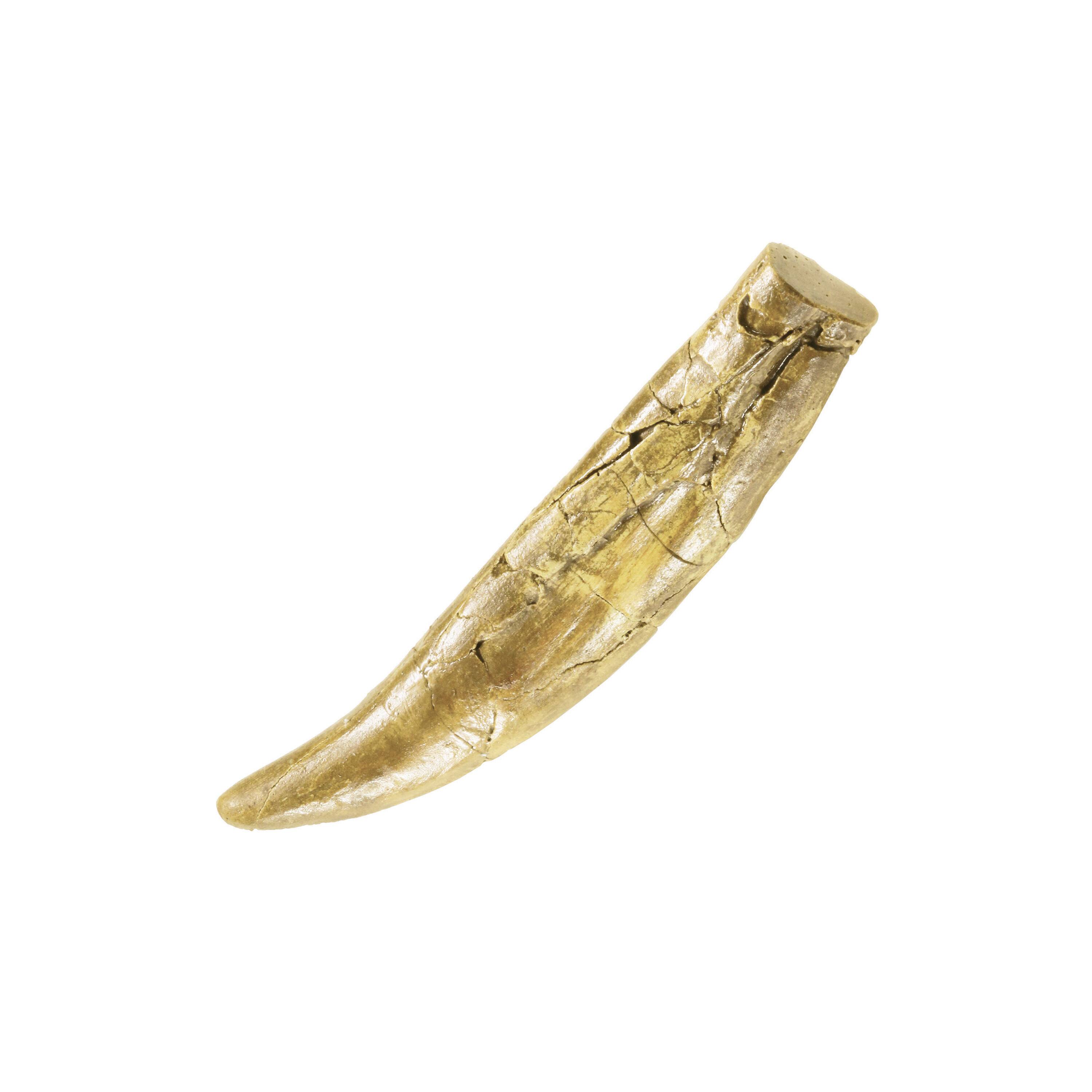 Thames &#x26; Kosmos I Dig It! Dinos: T. Rex Tooth Excavation Kit
