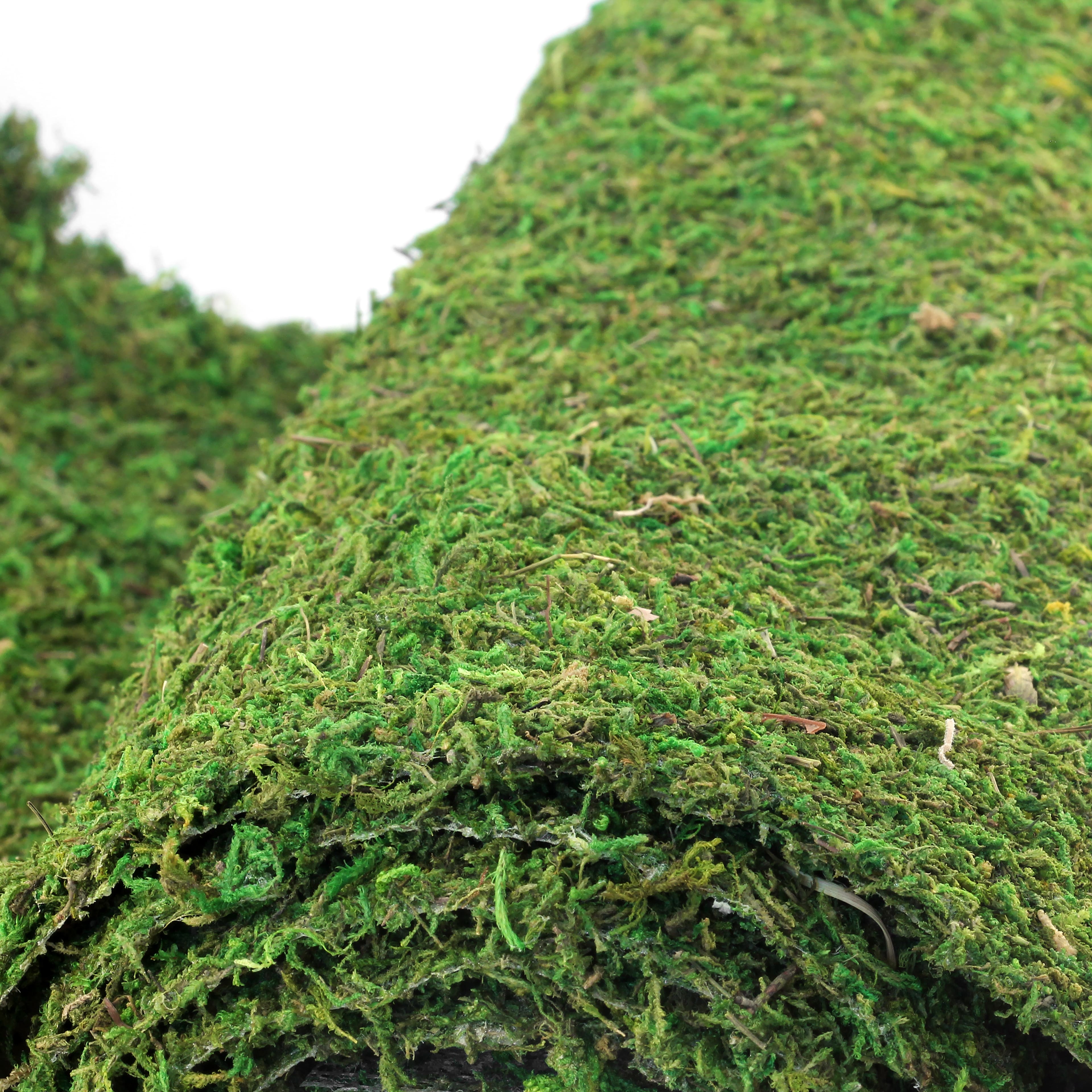 Crafters Choice Artificial Moss In Bag Green