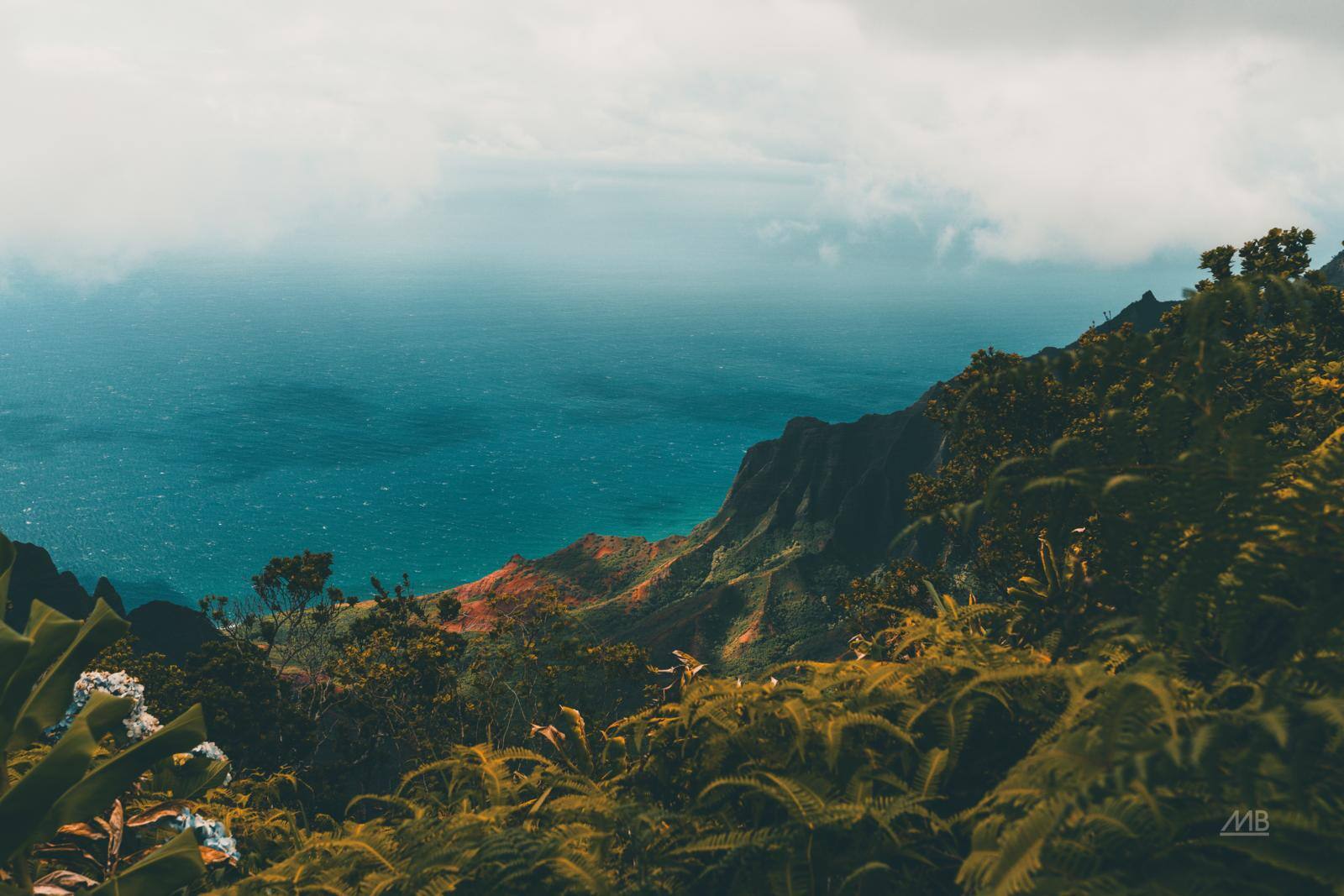Beauty of Hawaii