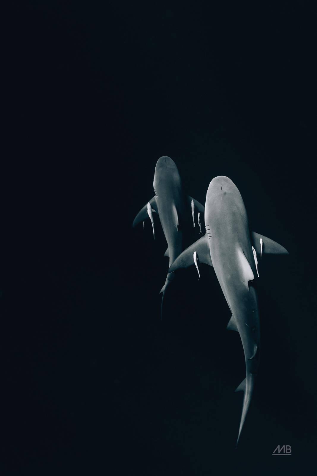 Above the Abyss