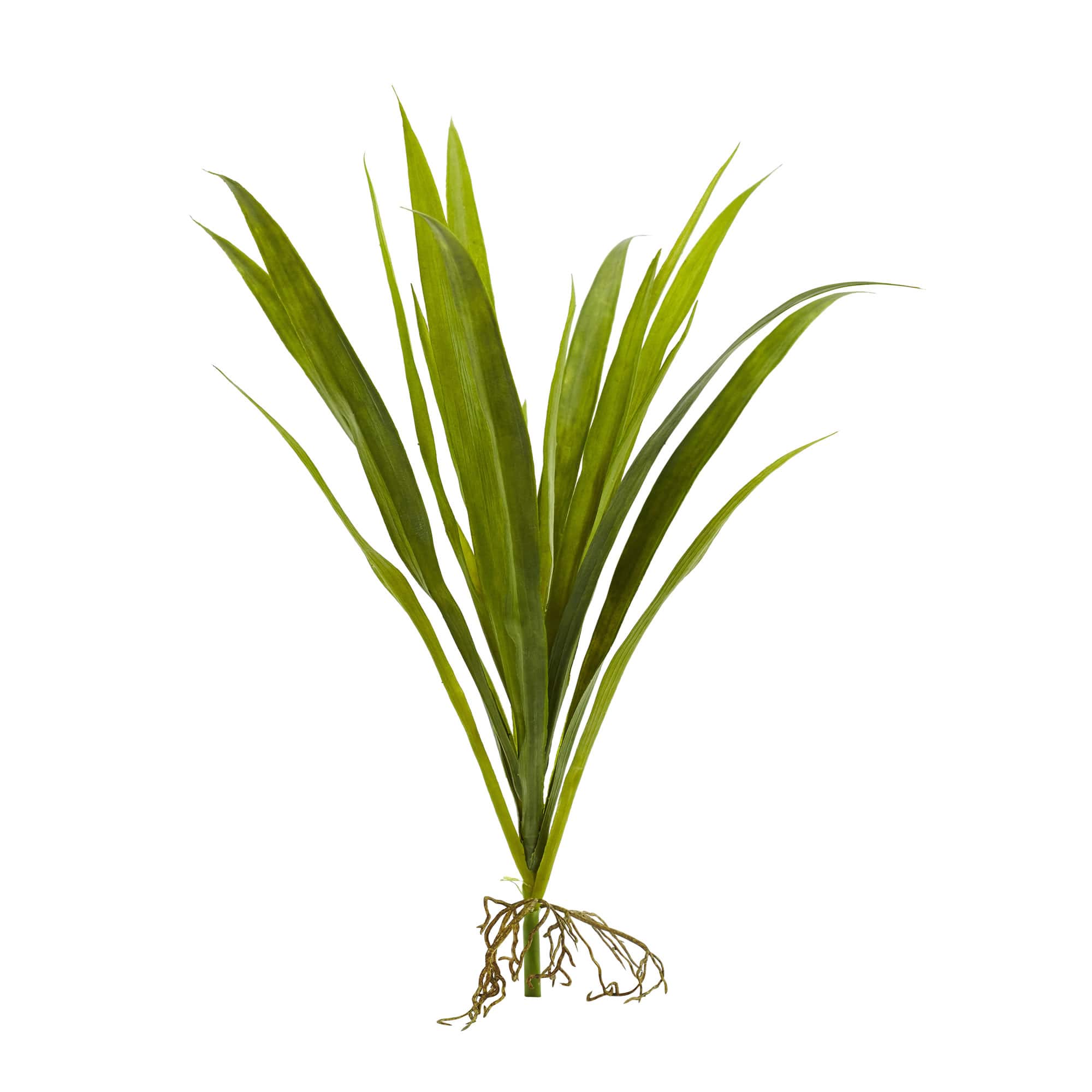 15" Grass Plant, 6ct.