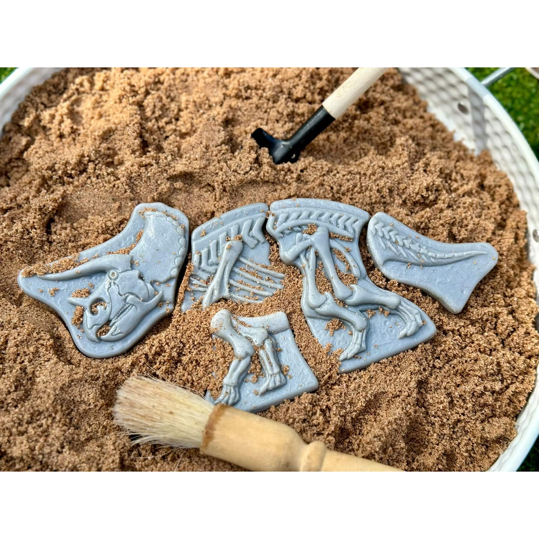 Yellow Door Dig & Discover Triceratops & Spinosaurus Dinosaur Skeletons Set