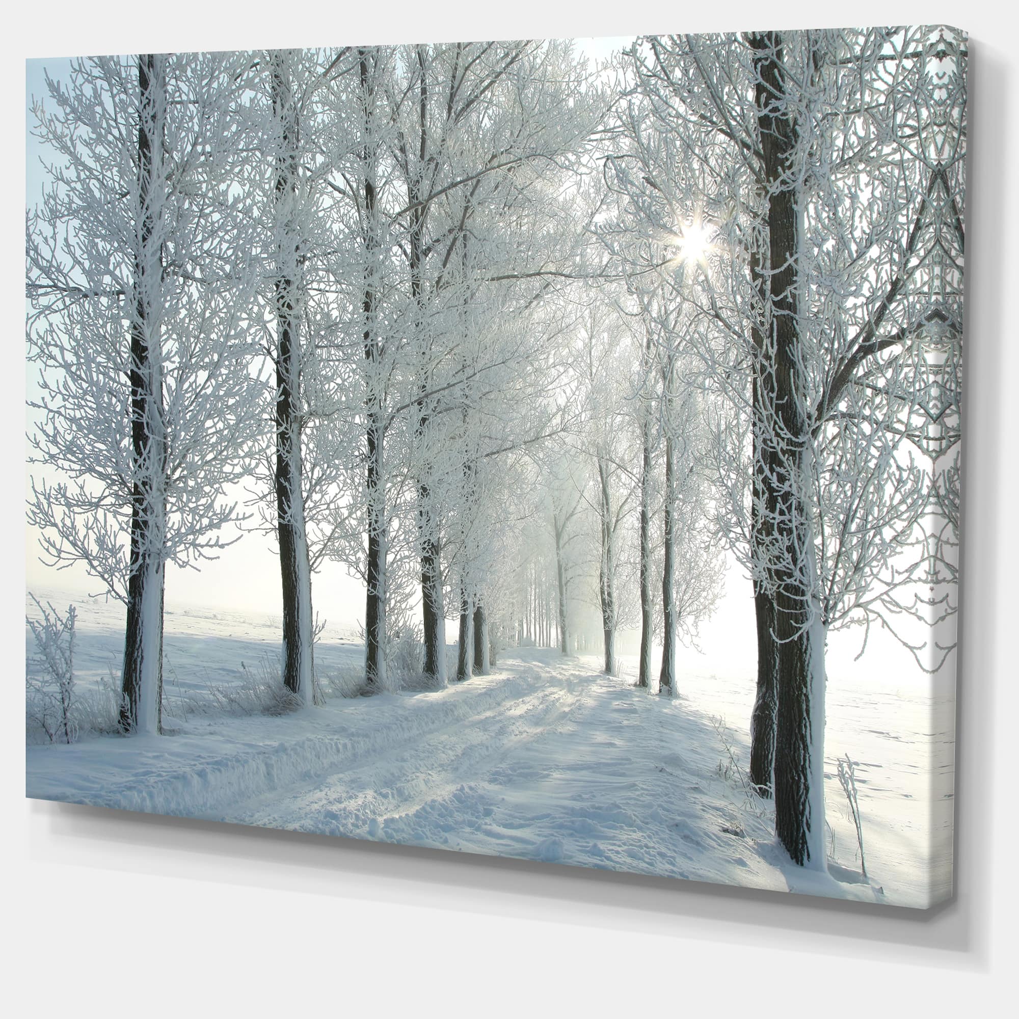Designart - Winter Trees Backlit by Morning Sun