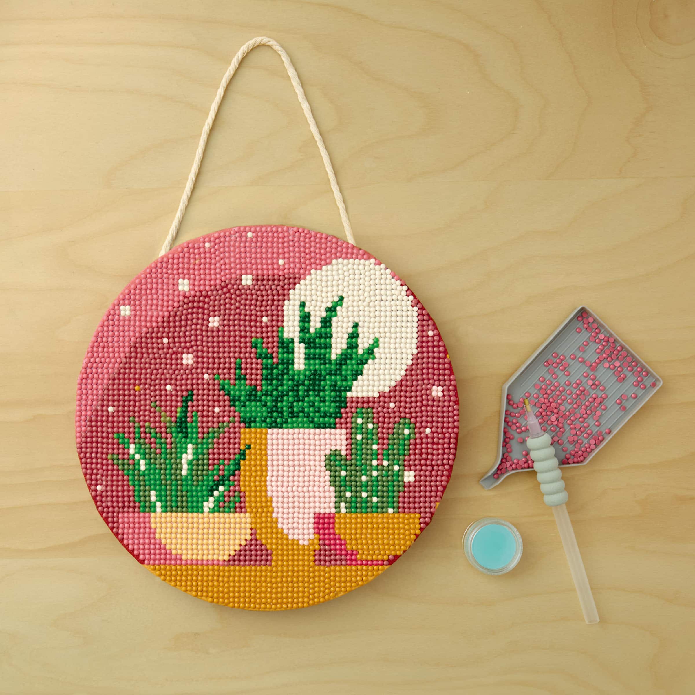 8" Sunset Succulents Round Stretched Canvas Diamond Art Kit by Make Market®