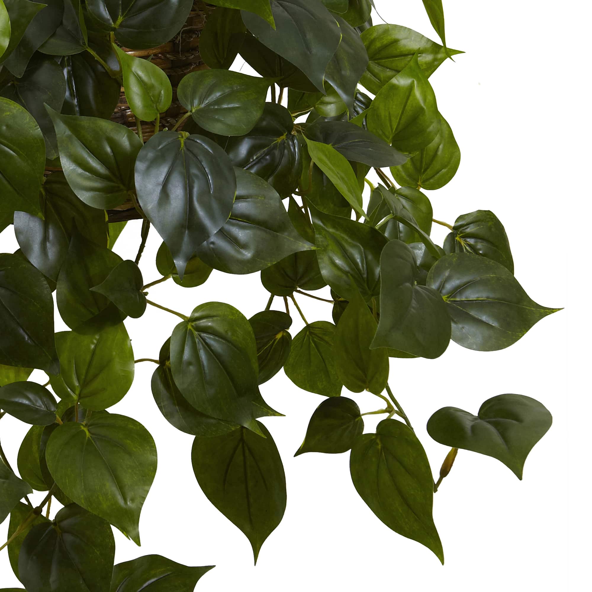 3ft. Philo Plant Hanging Basket